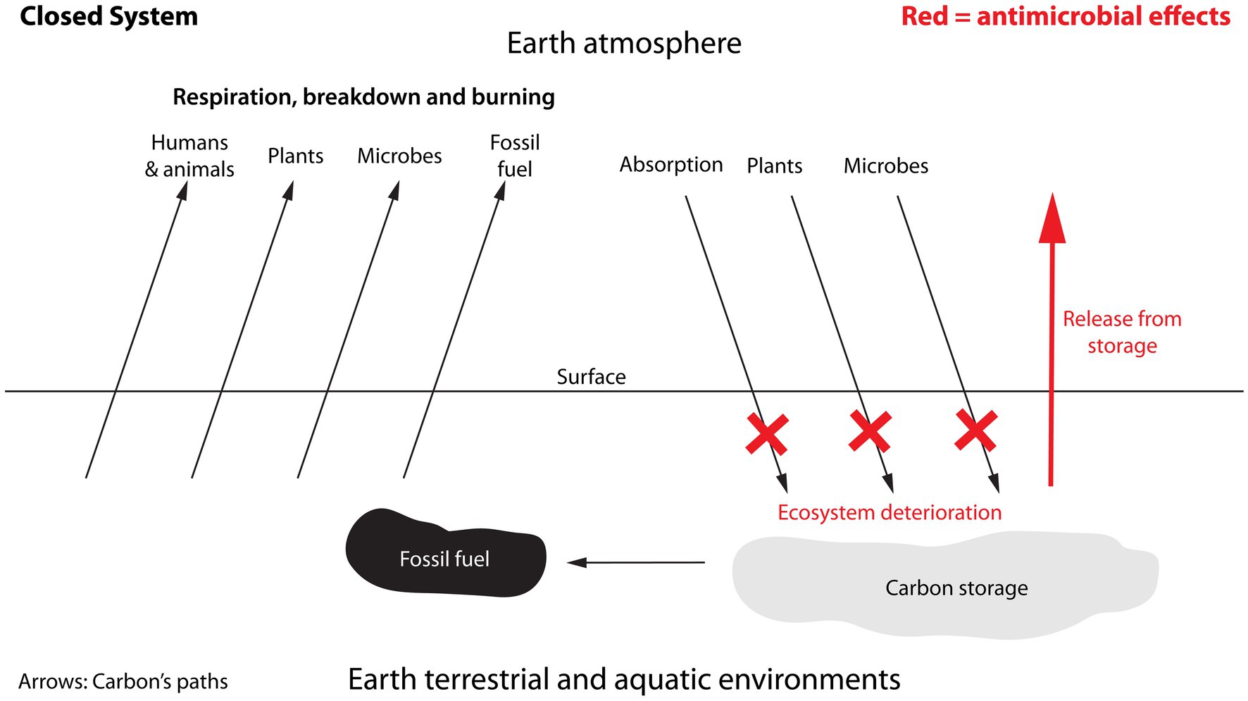 Diagram showing that Earth is a closed carbon system with the exchange of carbon between the atmosphere and terrestrial and aquatic environments. Black arrows show carbon being released into the atmosphere by humans, animals, plants, microbes and the burning of fossil fuel. This is removed from air by absorption into water and soil and its use by plants and microbes. Antimicrobials disrupt the mechanisms responsible for the removal of carbon from the atmosphere (red crosses) and they reduce the carbon storage capacity of soil and water, leading to the release of carbon into the atmosphere (red arrow).