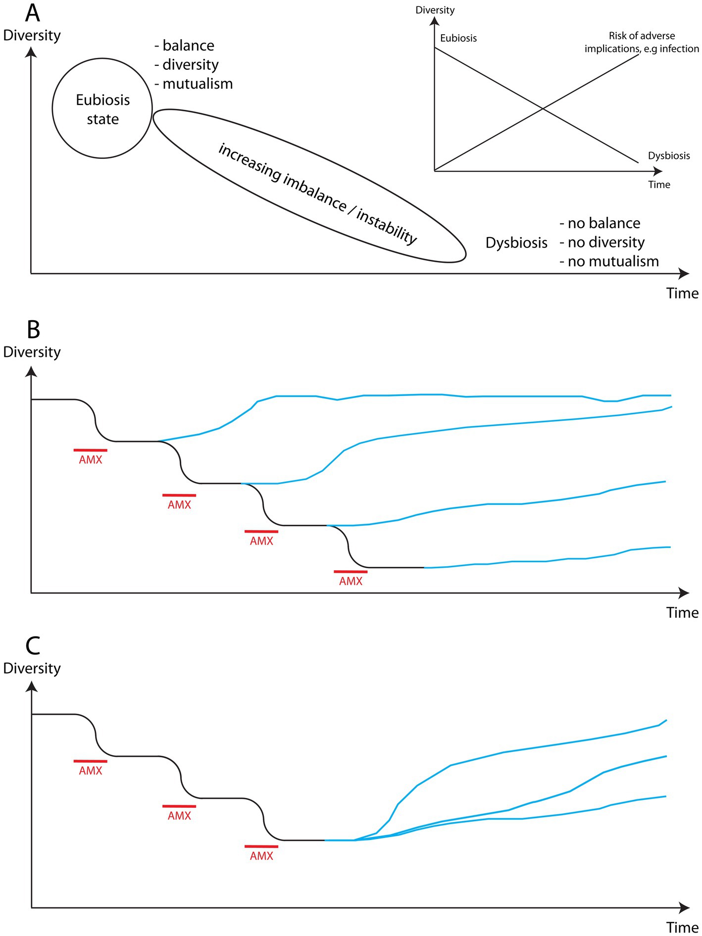 Diagram consisting of three sections, showing changes in microbiome diversity over time resulting from exposure to antimicrobials. Section A shows the transition from eubiosis, characterized by balance, diversity, and mutualism, to dysbiosis with imbalance and instability due to antimicrobial exposure. An insert graph shows that the risk of adverse implications increases with increasing microbiome instability. Sections B and C illustrate the decline in diversity after repeated antimicrobial exposures, followed by variable recovery paths depending upon the number of exposures (Section B) and on active efforts to support and improve microbiome recovery and its return to eubiosis (Section C).