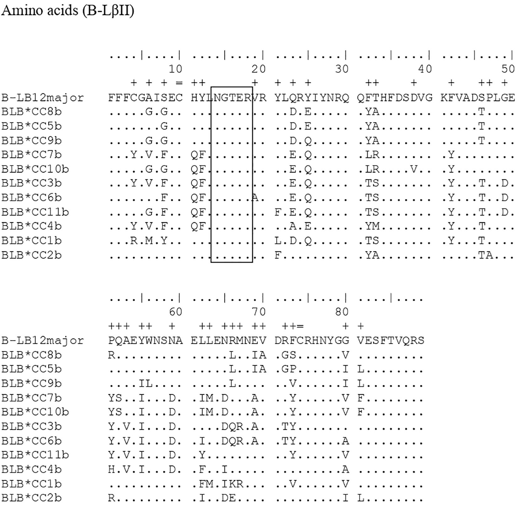 Amino acid sequence alignment chart titled “Amino acids (B-LβII)” displaying sequences for B-LB1 and several BLB alleles, including BLB*C8b, BLB*CC5b, BLB*CC9b, and others. The sequences are grouped and aligned, with some positions marked by dots and others showing specific amino acids. Numeric and symbol markers indicate positions and variations, with a rectangle around a segment in the B-LB1 major sequence between positions ten and twenty.