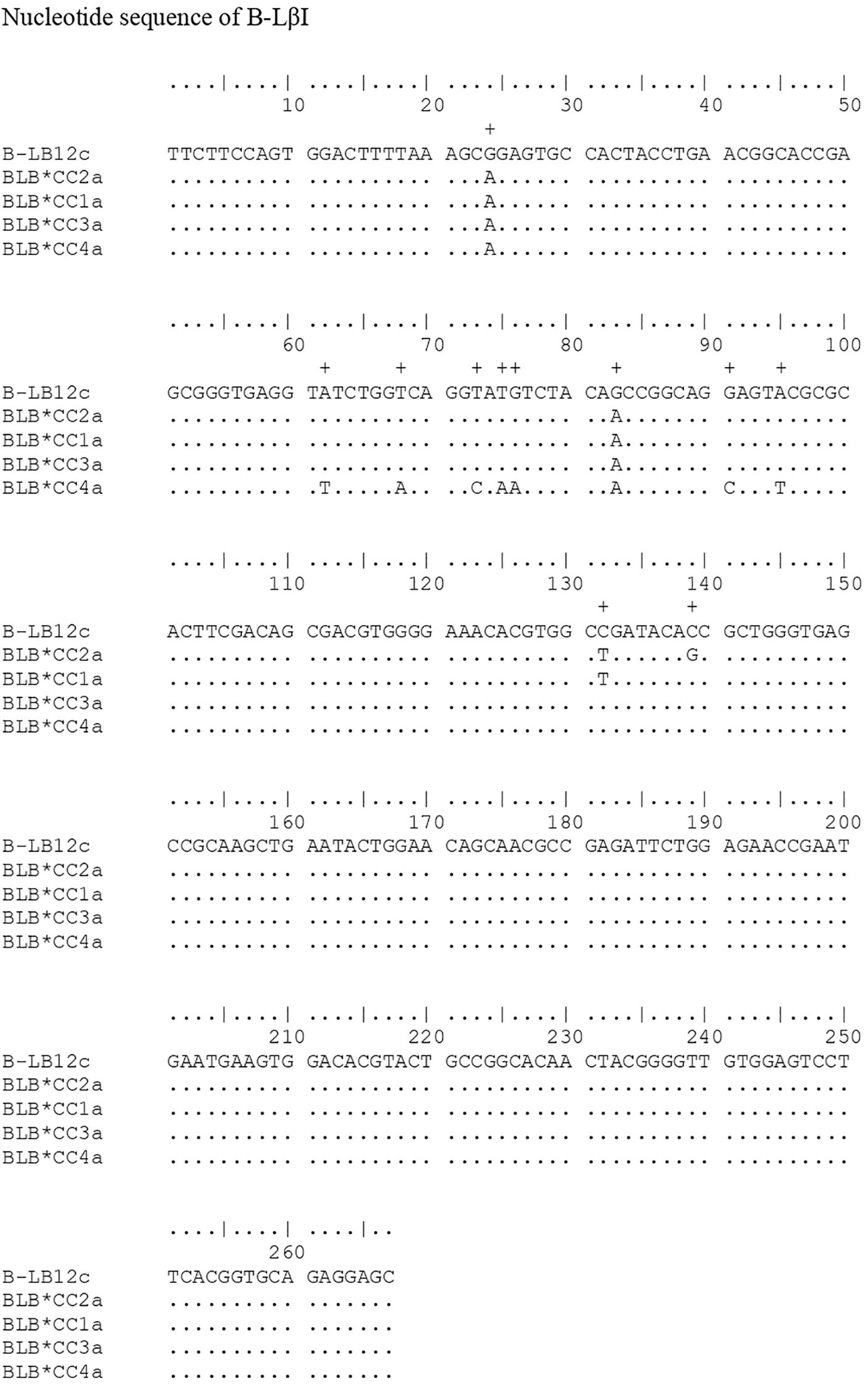 Nucleotide sequence alignment of B-LB12c with variants BLB*CC2a, BLB*CC1a, BLB*CC3a, and BLB*CC4a. The sequence displays variations marked by dots and letters at specific positions from 1 to 260. Sections are organized into blocks with numerical markers indicating base positions.