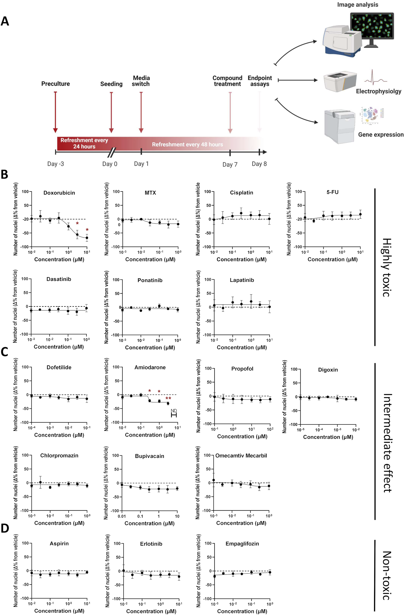Multi-panel figure labeled from A to D. A depicts a timeline for cell culture experiments, including preculture, seeding, media switch, compound treatment, and endpoint assays with methods like image analysis, electrophysiology, and gene expression. B shows graphs of highly toxic compounds (Doxorubicin, MTX, Cisplatin, 5-FU) impacting nuclei numbers relative to concentration. C depicts intermediate effect compounds (Dofetilide, Amiodarone, Propofol, Digoxin) on nuclei numbers. D illustrates non-toxic compounds (Aspirin, Erlotinib, Empagliflozin) with negligible effect on nuclei numbers.