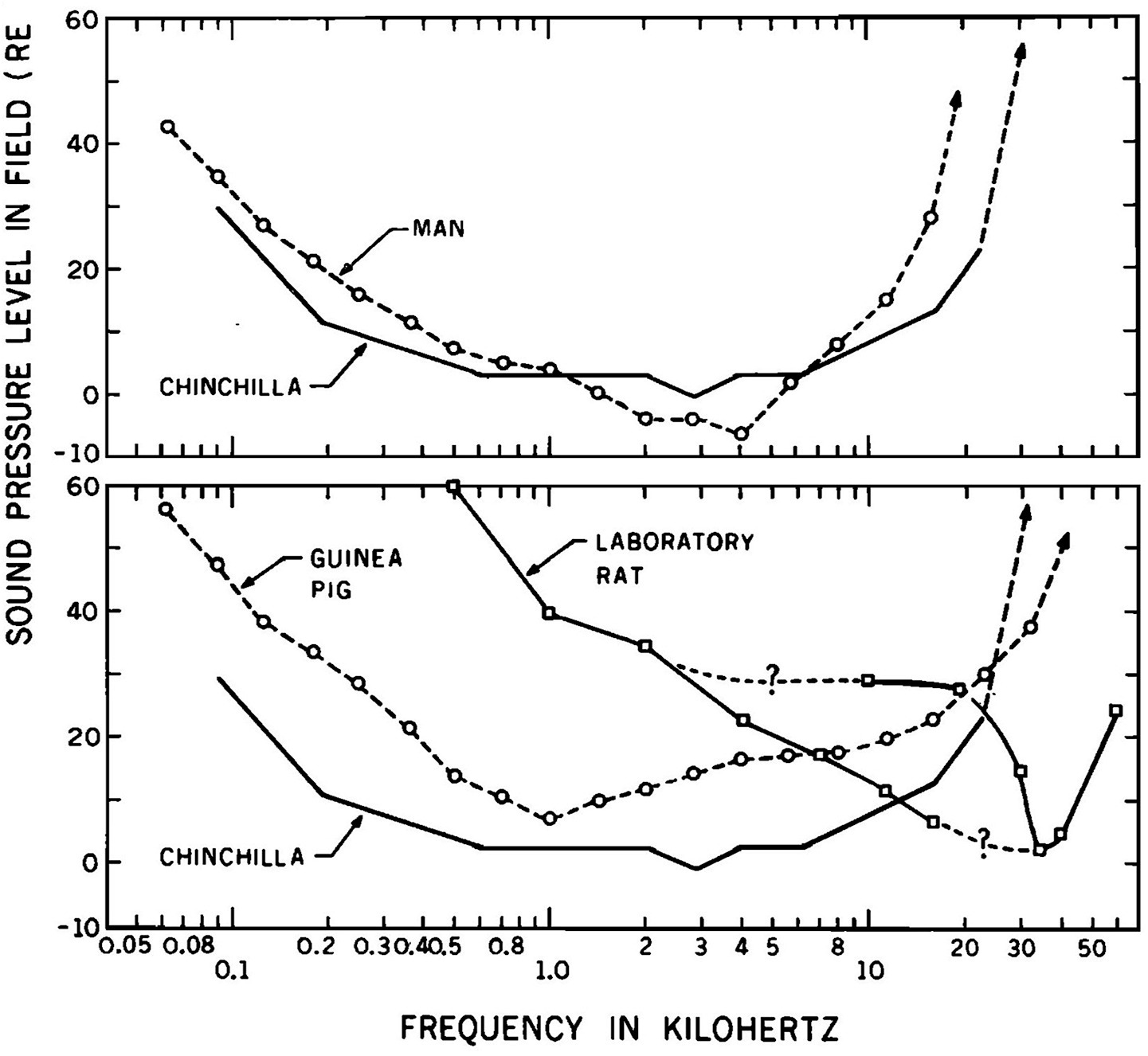 Two graphs compare sound pressure levels across frequencies for different species. The top graph shows human and chinchilla hearing; humans have a lower threshold at mid-range frequencies. The bottom graph displays chinchilla, guinea pig, and laboratory rat hearing. Chinchillas have the lowest threshold followed by guinea pigs and laboratory rats. Frequency ranges from 0.05 to 50 kilohertz on both graphs.