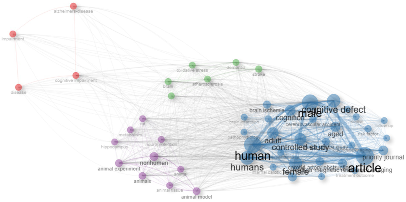 A network graph visualizing relationships between various terms related to cognitive and neurological studies. Clusters of interconnected nodes are color-coded: red for terms like "Alzheimer's disease" and "cognitive impairment," green for "oxidative stress" and "stroke," purple for "animal model" and "neuroprotection," and blue for "human," "cognitive defect," and "article." The graph illustrates how these topics are interrelated.