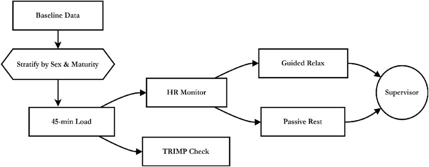 Flowchart depicting a process starting with