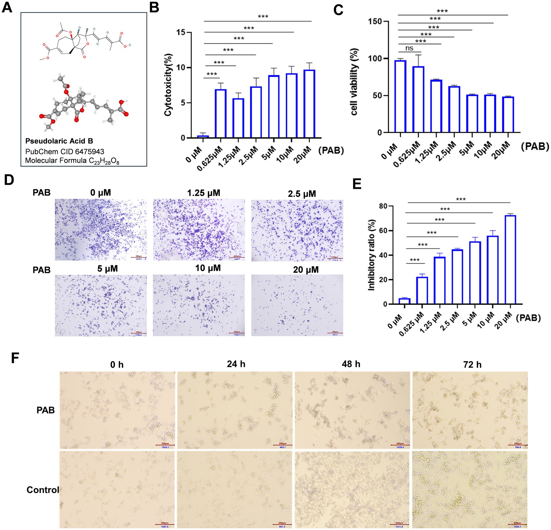 Molecular illustration, graphs, and cell images show the effects of Pseudolaric Acid B (PAB) on cells. Panel A displays the chemical structure. Panel B shows increasing cytotoxicity percentages with higher PAB concentrations. Panel C illustrates decreasing cell viability percentages as PAB concentration increases. Panel D presents images of cell cultures at various PAB concentrations, showing reduced cell density at higher levels. Panel E features a rising inhibitory ratio with increasing PAB concentrations. Panel F compares cell cultures treated with PAB and control groups over time, indicating significant morphological changes in treated groups.