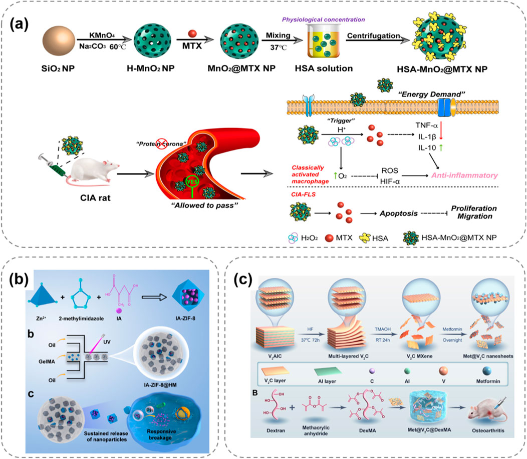Diagram showcasing nanoparticle synthesis and application in three panels. (a) Steps for creating HSA-MnO\(_2\)@MTX nanoparticles, depicting injection into a rat model and subsequent cellular processes, including inflammation reduction. (b) Synthesis of IA-ZIF-8@HM nanoparticles using compounds like zinc and 2-methylimidazole, detailing sustained nanoparticle release. (c) Synthesis of Met@V\(_2\)C nanosheets, showing multiple layered structures and their application in an osteoarthritis model.