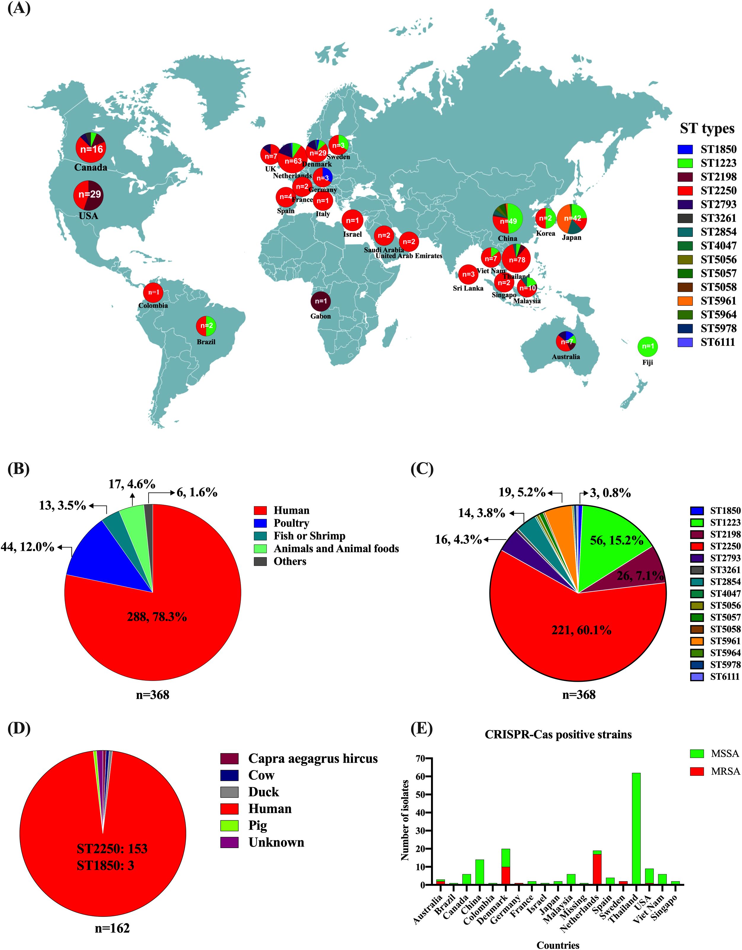 World map showing distribution of various ST types in different countries, indicated by colored pie charts. Pie charts on left show distribution of isolates: (B) by source, with humans as largest portion; (C) by ST type, with ST2250 most prevalent; (D) by animal source, dominated by Capra aegagrus hircus. (E) Bar graph displays number of CRISPR-Cas positive strains by country, differentiating between MSSA and MRSA.