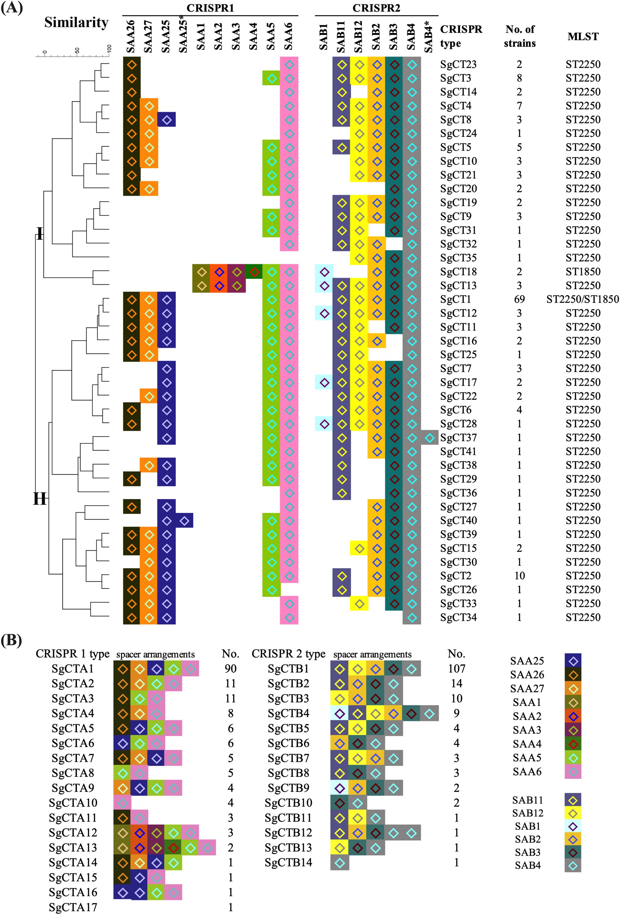 Phylogenetic trees illustrating CRISPR spacer arrangements. Panel A shows the similarity among strains with CRISPR1 and CRISPR2 types, including CRISPR spacer arrangements and MLST types. Panel B summarizes CRISPR1 and CRISPR2 types with spacer arrangements and corresponding strain numbers, highlighting color-coded patterns.