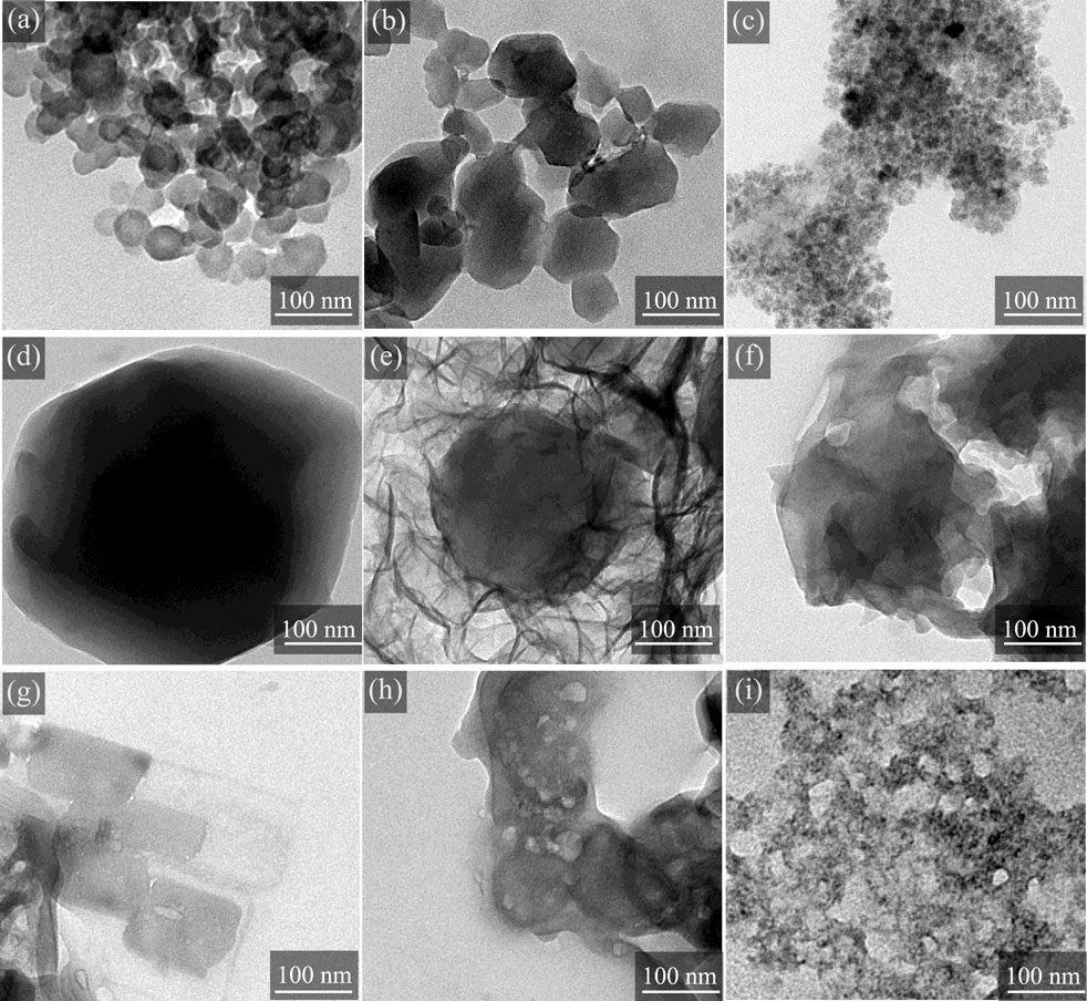 Grid of nine microscopic images labeled a to i, showcasing various shapes and textures of nanoparticles, each with a 100 nm scale bar. The particles appear in different forms, including clumps, spheres, and elongated shapes, with varying levels of transparency and density.