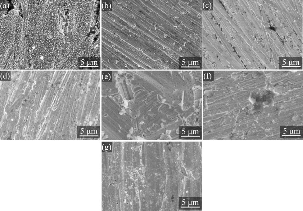 Seven scanning electron microscope images showing microscale surface textures. Images (a) to (g) display various patterns such as clustered particles, linear grooves, and irregular formations on surfaces, each with a scale bar indicating a length of five micrometers.