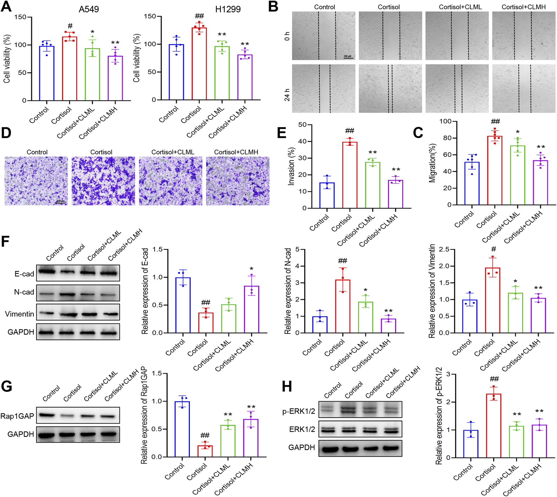 Graphs and images depict the effects of cortisol, CLML, and CLMH on A549 and H1299 cells. Panels A-H show cell viability, migration, invasion, protein expression, and blot analysis for different treatment groups. Statistical significance is marked with stars and hash signs.