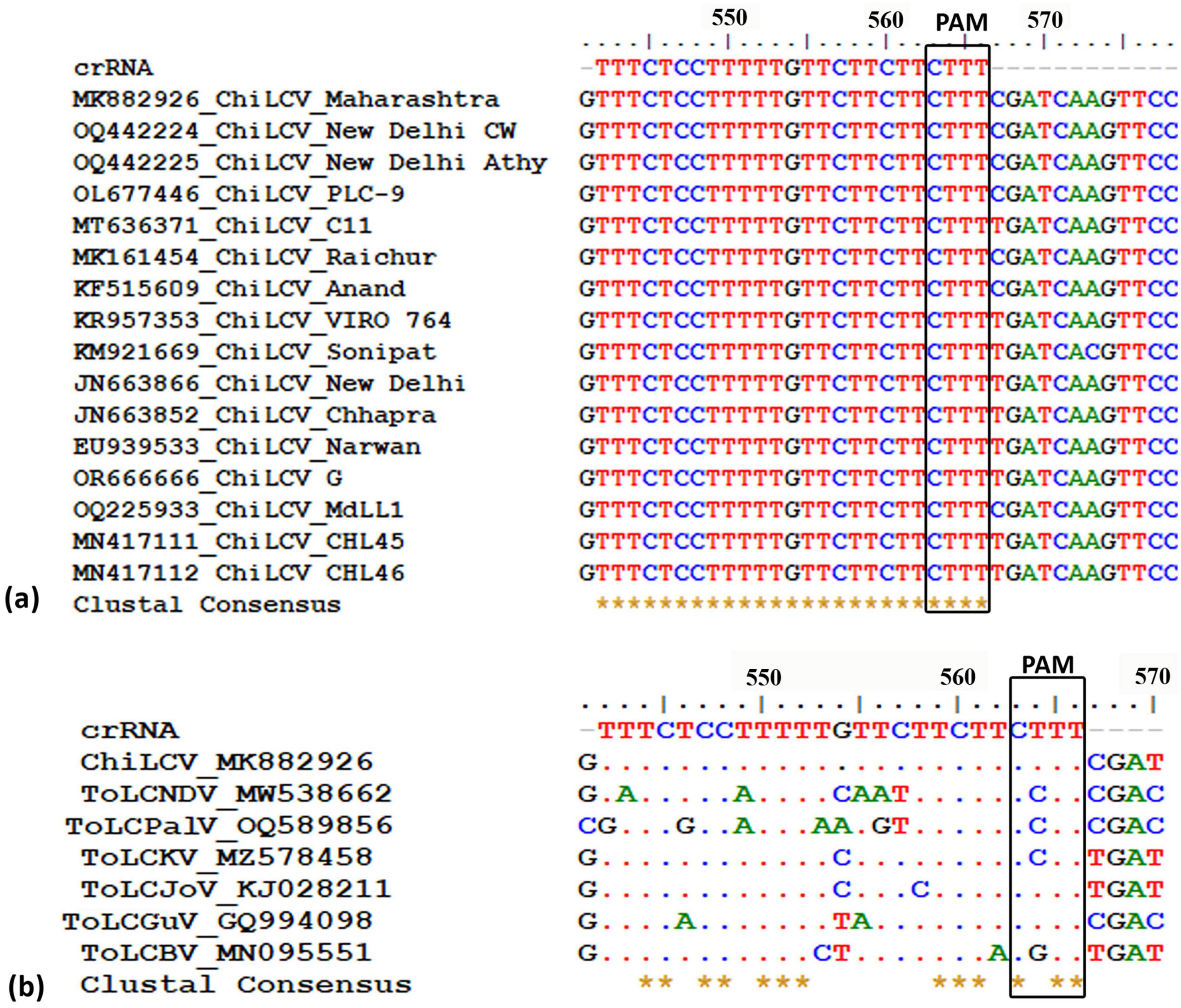 DNA sequence alignment diagrams labeled (a) and (b) showing different samples with a highlighted PAM region. Sequences in colored letters indicate specific nucleotides, with Clustal Consensus at the bottom indicating alignment variations.