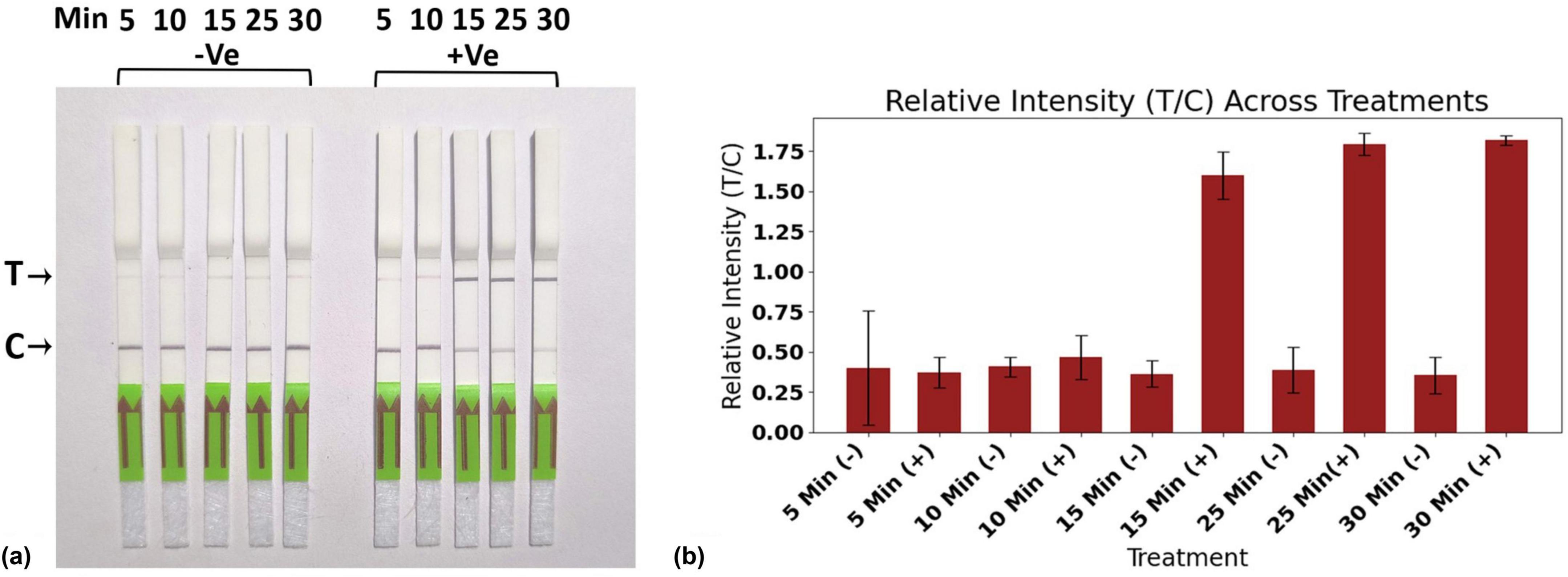 Image (a) shows a series of test strips labeled with time intervals from 5 to 30 minutes, divided into negative (-Ve) and positive (+Ve) groups, marked at test (T) and control (C) lines. Image (b) is a bar graph illustrating relative intensity (T/C) across treatments with bars indicating intensity at 5, 10, 15, 25, and 30 minutes for both negative and positive conditions. Positive conditions have higher intensities, especially at 15, 25, and 30 minutes.