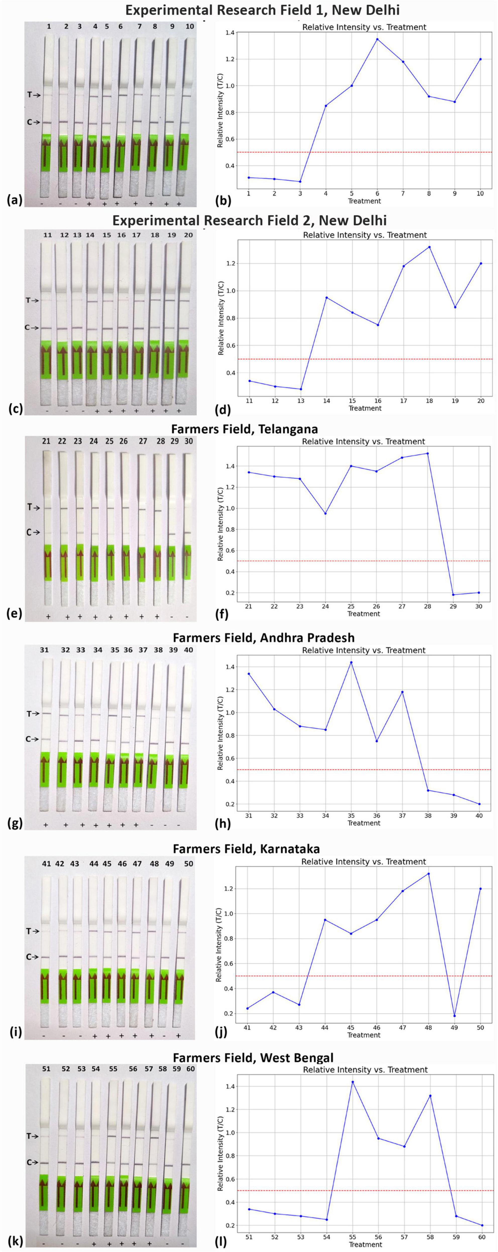 Image depicting a series of electrophoresis gels and corresponding line graphs showing relative intensity versus treatment. The panels are organized by region: Experimental Research Field 1 and 2, New Delhi; Farmers Field, Telangana; Farmers Field, Andhra Pradesh; Farmers Field, Karnataka; Farmers Field, West Bengal. Each electrophoresis gel corresponds to a unique set of treatment conditions, with line graphs illustrating the relative intensity trends for each treatment group. Dark bands on the gels indicate varying levels of expression, with intensity reflected in the graphs.