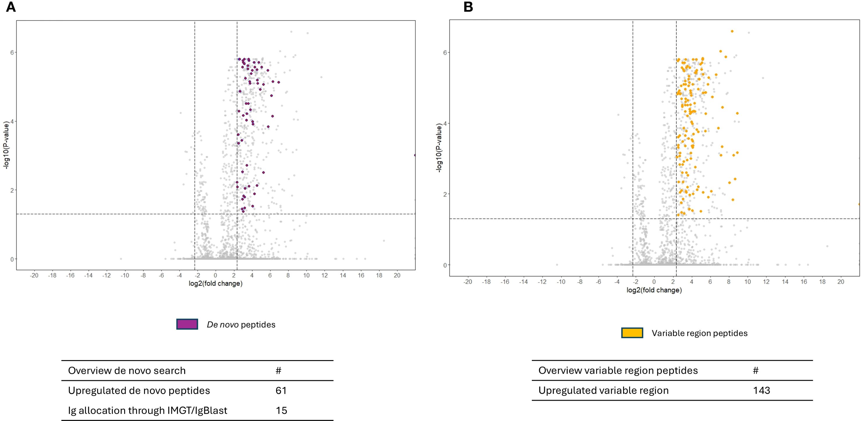 Scatter plots A and B display peptide data with axes of log two fold change and negative log ten P-value. Plot A highlights de novo peptides in purple, showing 61 upregulated peptides, with 15 allocated via IMGT/IgBlast. Plot B highlights variable region peptides in yellow, with 143 upregulated. Both plots have gray dots for background data.