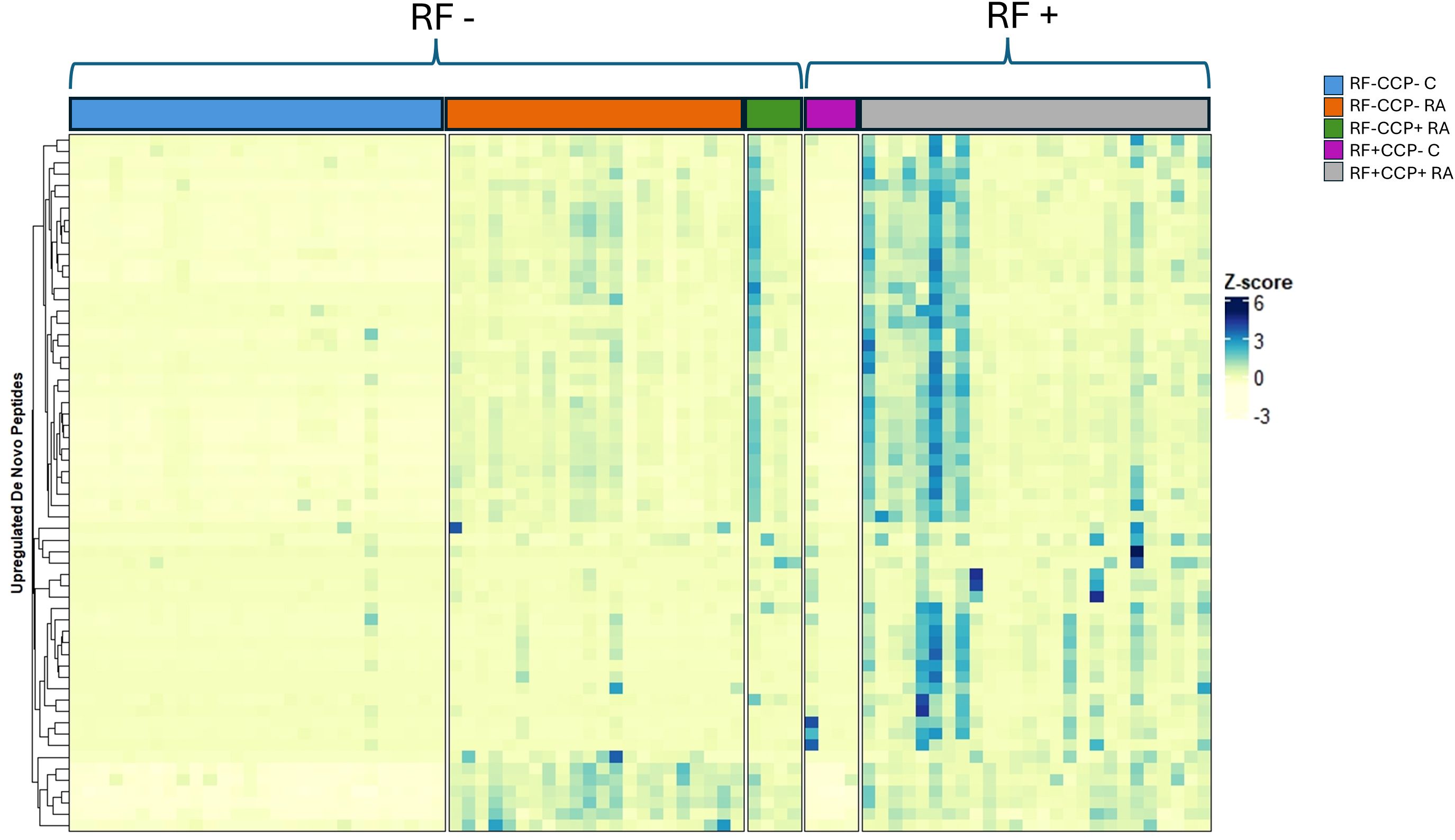 Heat map illustrating upregulated de novo peptides, categorized into RF-negative and RF-positive groups. Color key indicates Z-score values from -3 to 6, and groupings such as RF-CCP- and RF+CCP+ are marked with distinct colors.
