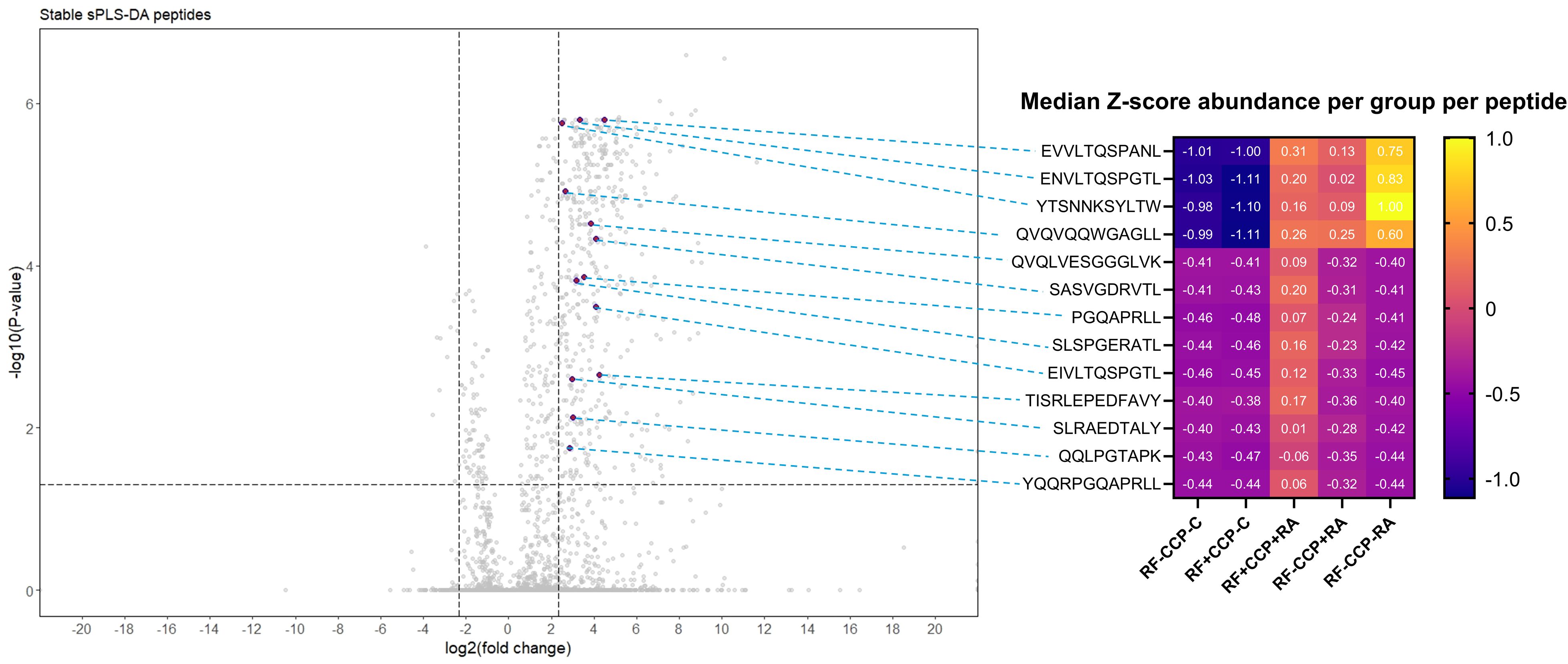Scatter plot and heatmap showing stable sPLS-DA peptides. The scatter plot on the left displays -log10(P-value) against log2(fold change). Key peptides are highlighted and connected to a heatmap on the right. The heatmap shows median Z-score abundance per group per peptide, with a color range from -1 to 1. Specific peptides and their Z-scores are listed, reflecting different experimental conditions.