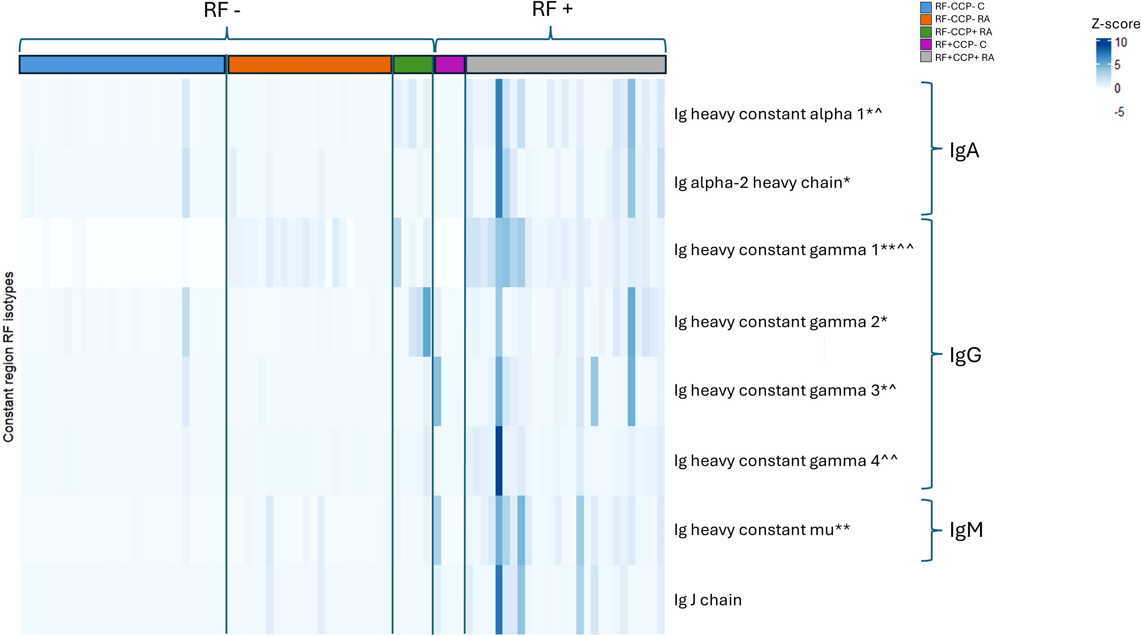 Heatmap displaying expression levels of immunoglobulin heavy chain isotypes in RF negative and RF positive groups. Blue tones indicate Z-scores from negative to positive. Key isotypes include IgA, IgG, and IgM. Color codes indicate different RF and CCP combinations.