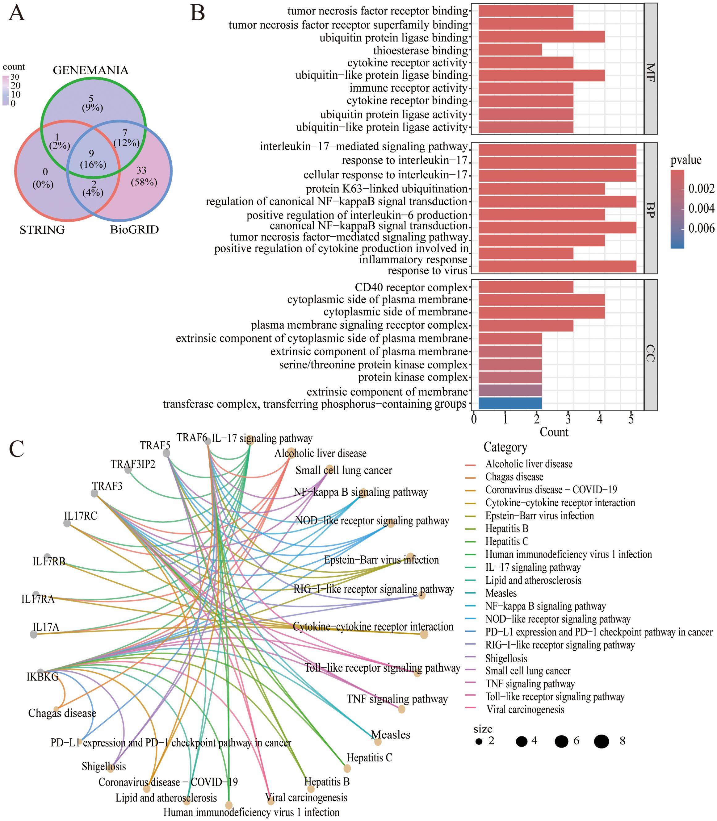 Diagram consisting of three sections: A) Venn diagram showing overlap of gene associations among GENEMANIA, STRING, and BioGRID databases; B) Bar charts detailing gene ontology categories (molecular function, biological process, cellular component) with color-coded p-values; C) Network diagram illustrating connections between signaling pathways and diseases, with pathway and disease categories identified by colors and node sizes indicating significance.