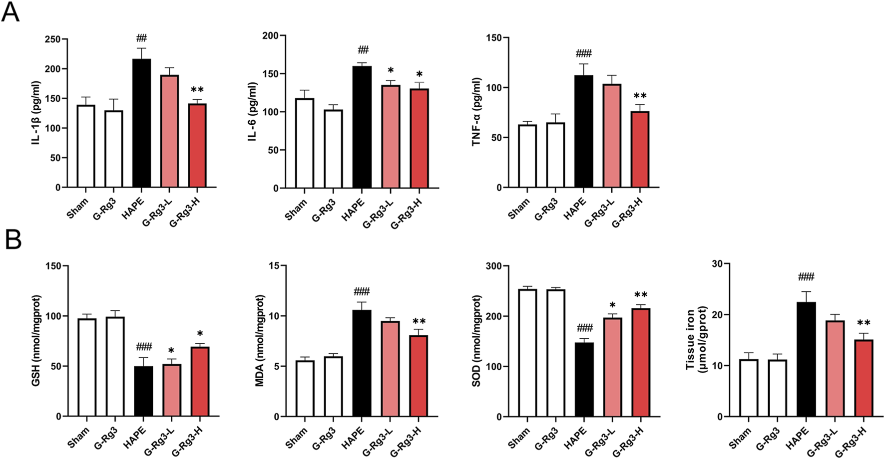 Bar graphs labeled A and B show various biochemical parameters. A displays IL-1β, IL-6, and TNF-α levels across five groups: Sham, G-Rg3, HAPE, G-Rg3-L, and G-Rg3-H. B shows GSH, MDA, SOD, and tissue iron levels in the same groups. Significant differences are indicated by asterisks and hash marks. Each graph uses different y-axes units relevant to the parameter measured.