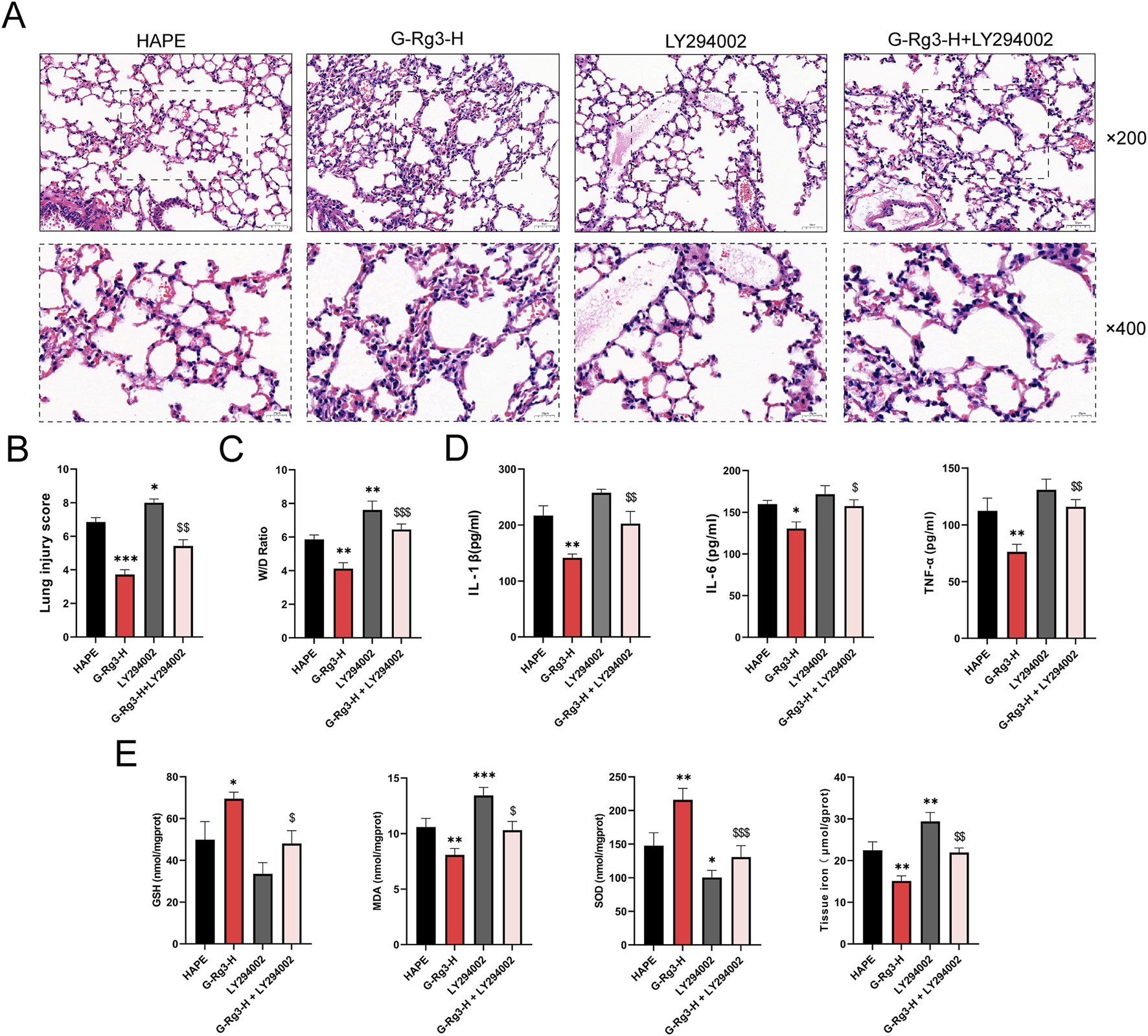 Histological images and bar graphs illustrate the effects of treatments on lung tissue in different conditions. Panel A shows stained lung tissue sections at two magnifications (200x and 400x) under four conditions: HAPE, G-Rg3-H, LY294002, and G-Rg3-H+LY294002. Panels B to E present bar graphs comparing lung injury scores, wet-to-dry ratios, cytokine levels (IL-1, IL-6, TNF-α), and oxidative stress markers (GSH, MDA, SOD, tissue iron) across the conditions, with statistical annotations indicating significance levels.