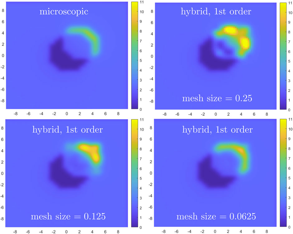 Four contour plots with a blue to yellow color gradient represent different simulations. The top left is labeled “microscopic.” Top right shows “hybrid, 1st order” with mesh size 0.25. Bottom left also shows “hybrid, 1st order” with mesh size 0.125. Bottom right is “hybrid, 1st order” with mesh size 0.0625. Axes range from -10 to 10 on both axes.