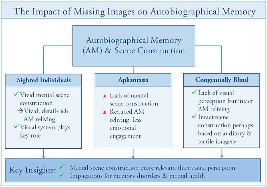 Flowchart illustrating the impact of missing images on autobiographical memory and scene construction. The diagram compares sighted individuals, those with aphantasia, and congenitally blind individuals. Sighted individuals experience vivid mental scene construction. People with aphantasia lack mental scene construction and have reduced autobiographical memory reliving. Congenitally blind individuals lack visual perception but have intact scene construction based on auditory and tactile imagery. Key insights highlight the importance of mental scene construction over visual perception for memory disorders and mental health.