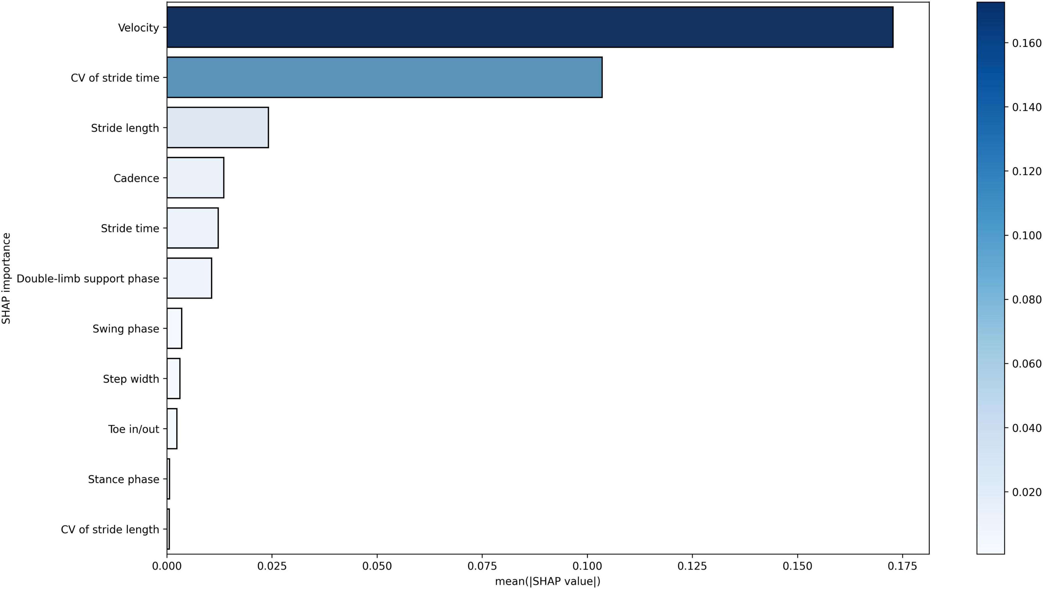 Bar chart showing SHAP importance for gait parameters. Velocity has the highest importance, approximately 0.16, followed by coefficient of variation of stride time at 0.14. Other parameters, including stride length, cadence, and stride time, have lower importance values around 0.04 or less. The color gradient indicates importance, ranging from dark blue (most important) to light blue (least important).