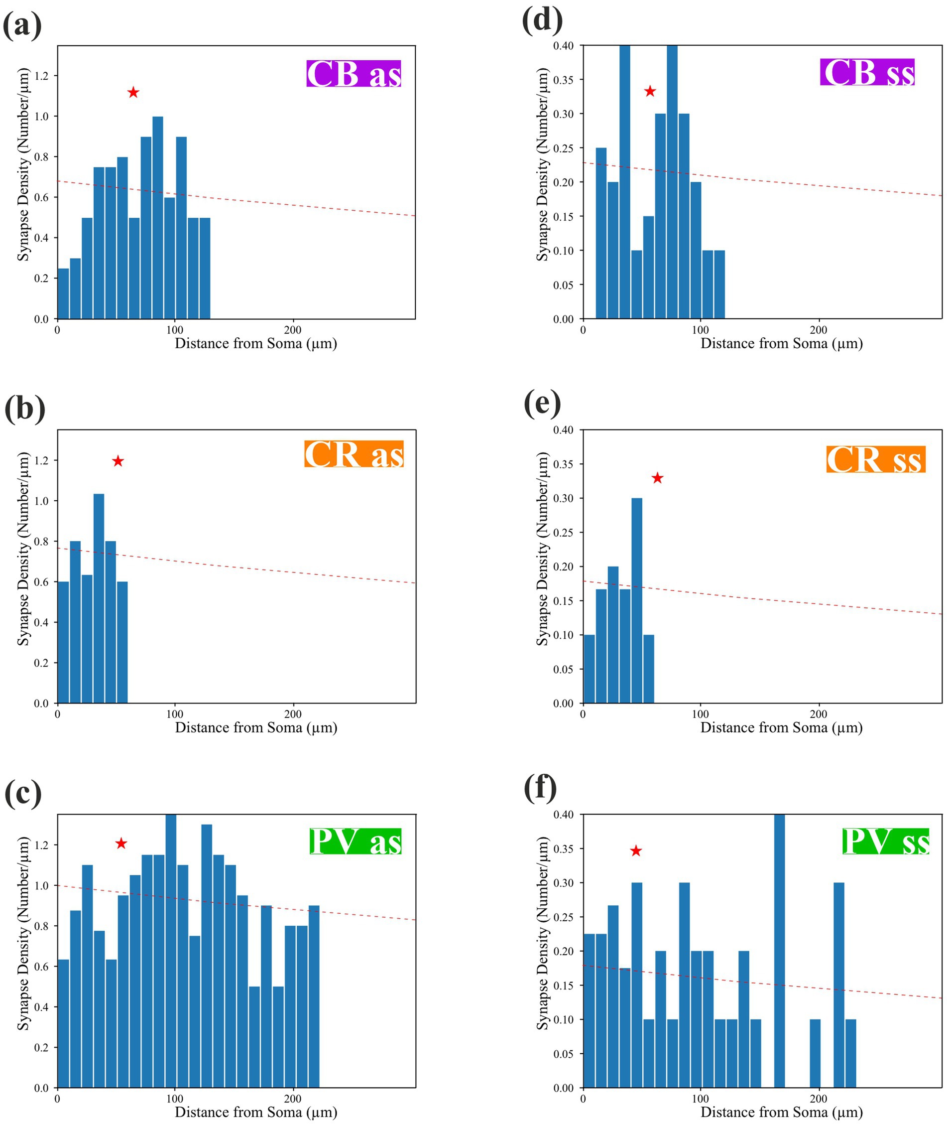 Bar graphs comparing synapse density versus distance from soma for different groups: (a) CB as, (b) CR as, (c) PV as, (d) CB ss, (e) CR ss, (f) PV ss. Red dashed lines indicate trends, and red stars highlight data peaks.