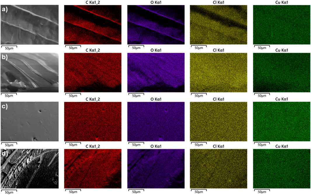 Panels a to d show SEM and corresponding EDS maps of a sample. Each panel includes a grayscale SEM image on the left, followed by red, purple, yellow, and green EDS maps. These maps indicate the distribution of carbon (C Kα1_2), oxygen (O Kα1), chlorine (Cl Kα1), and copper (Cu Kα1), respectively. Each image is marked with a 50 micrometer scale bar.