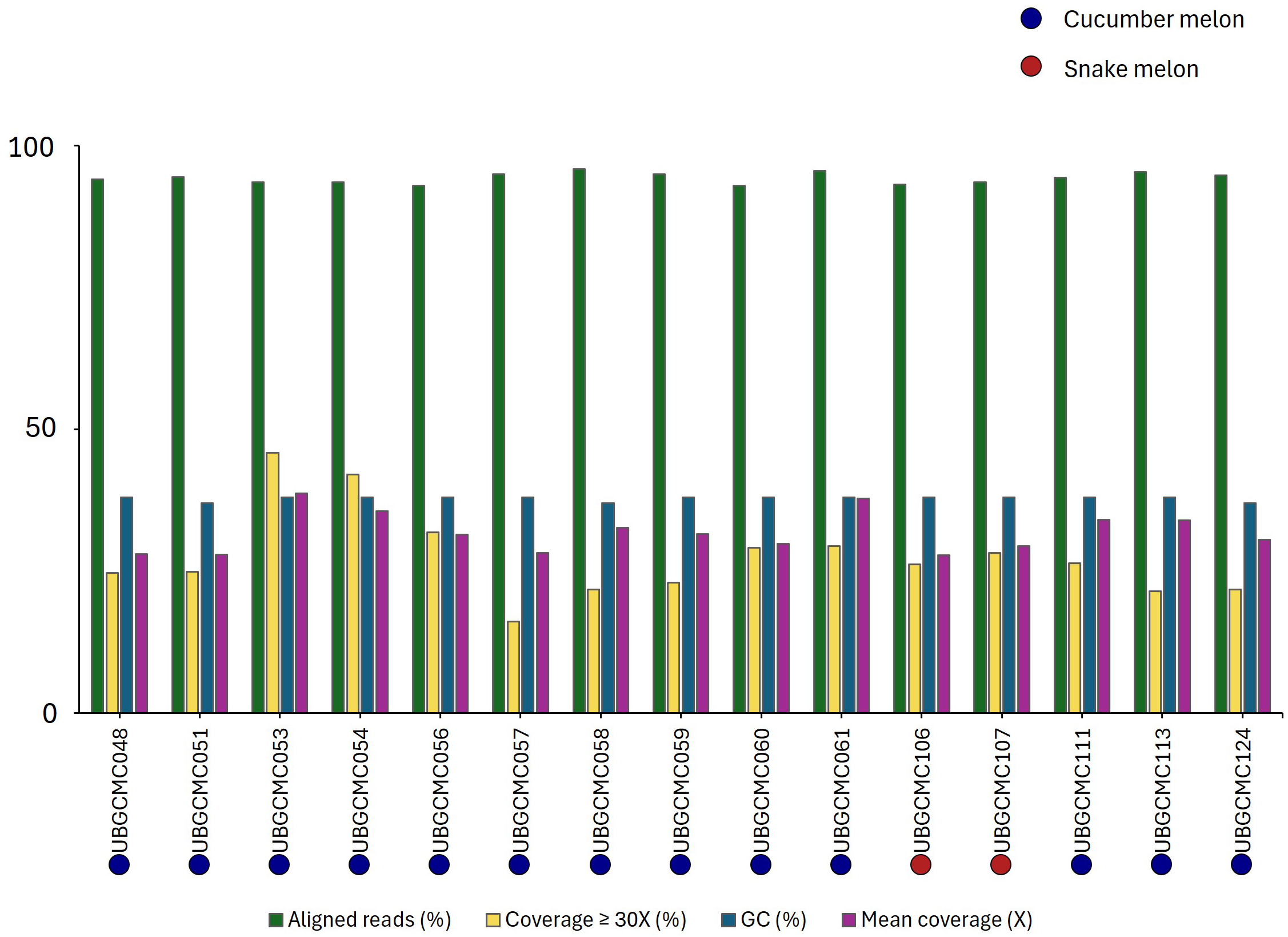 Bar chart comparing genomic data for cucumber and snake melons. It includes percentages of aligned reads, coverage greater than thirty X, GC content, and mean coverage across various samples. Cucumber melon samples are marked in blue and snake melon in red.