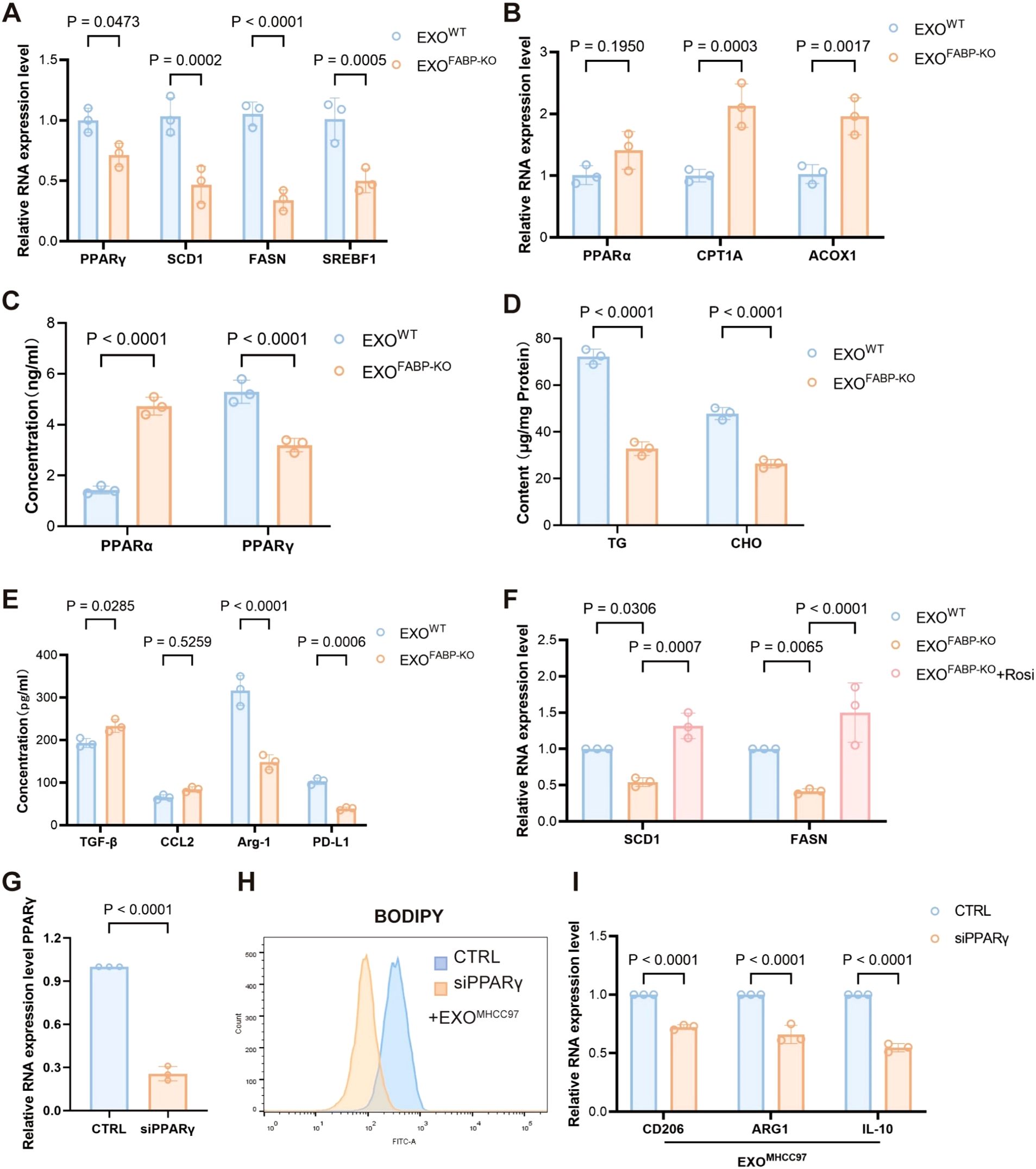 Bar graphs display various data comparisons between EXO^WT, EXO^FABP-KO, and other conditions. Panels A to I show relative RNA expression levels and concentrations of various proteins and molecules, such as PPARα, SCD1, and CPT1A, under different conditions. Significant differences are indicated with p-values. The study examines genetic and protein expression variations.