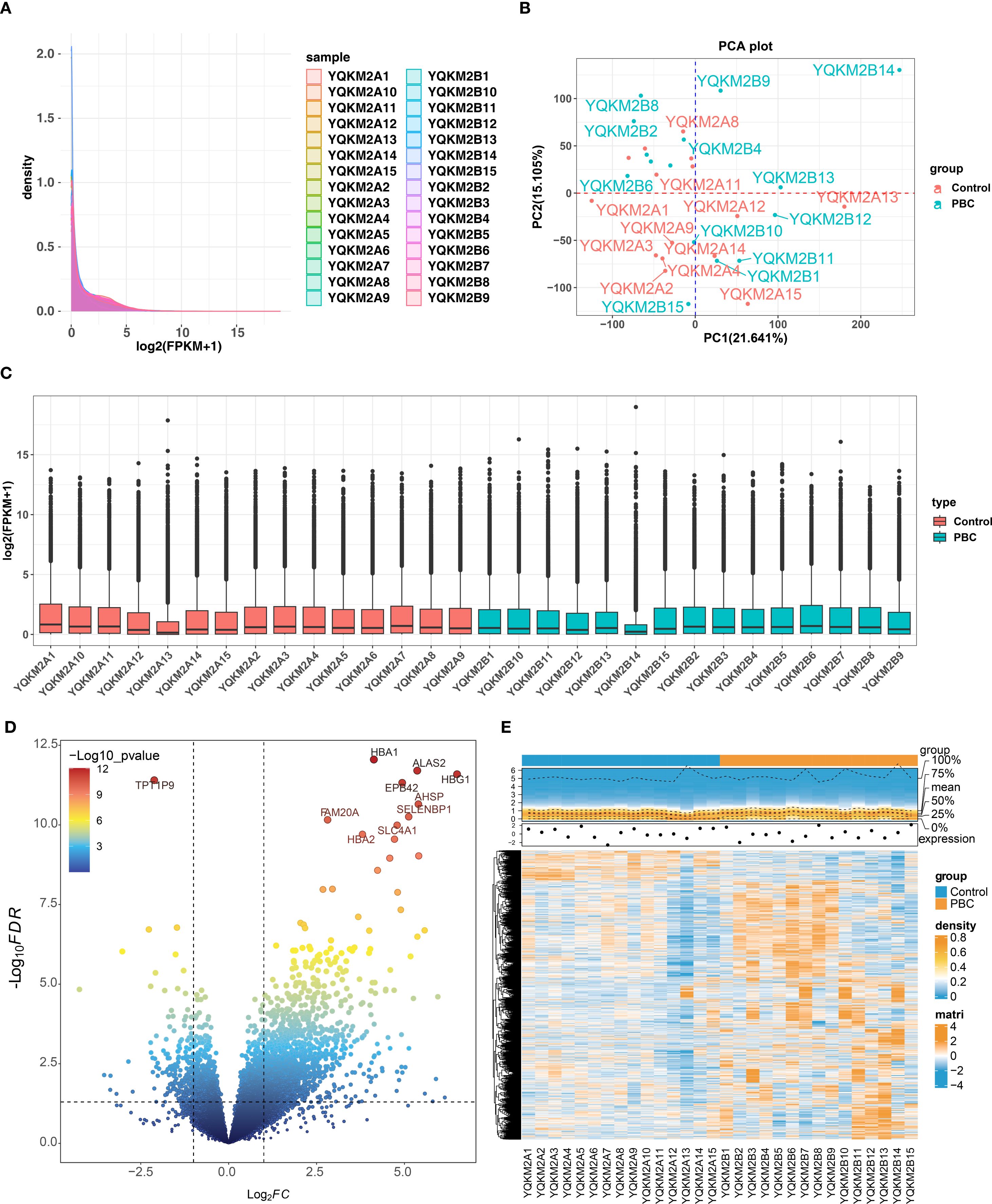 Panel A shows a density plot of log2 transformed FPKM values. Panel B is a PCA plot with samples color-coded by group: red for control and blue for PBC. Panel C displays box plots of log2(FPKM+1) values across different samples, grouped by type. Panel D is a volcano plot highlighting differentially expressed genes with colors representing significance levels. Panel E presents a heatmap with samples along the x-axis and gene expression levels indicated by color gradients.