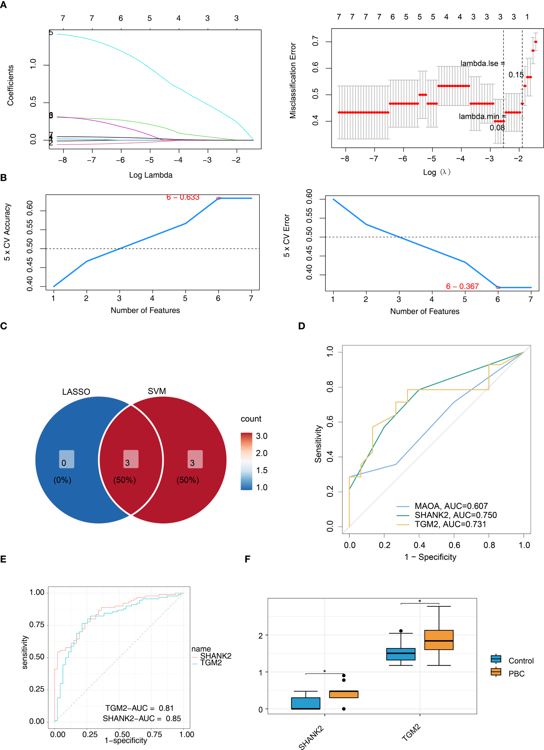 Six-panel figure. Panel A: Two graphs. Left graph shows coefficients versus log lambda, with various lines decreasing. Right graph presents misclassification error versus log lambda, showing error bars and lambda values. Panel B: Two graphs. Left graph depicts five-fold CV accuracy improving with more features. Right graph shows five-fold CV error decreasing with more features. Panel C: Venn diagram illustrating overlap between LASSO and SVM, with three features each in overlap and separate sets. Panel D: ROC curves for MAOA, SHANK2, and TGM2, with AUC values 0.607, 0.750, and 0.731. Panel E: ROC curves for SHANK2 and TGM2, AUC 0.85 and 0.81. Panel F: Box plots for SHANK2 and TGM2, comparing control and PBC groups, showing variability and outliers.
