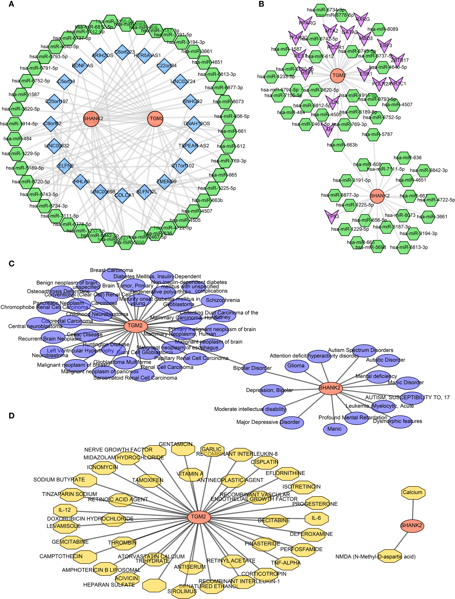 Network diagrams depict interactions among molecules, diseases, and drugs: A) Circular network with green, blue, and red nodes representing biomolecular interactions. B) Triangular structure showing connections with miRNA nodes. C) Disease association network linking various conditions. D) Drug interaction network with yellow nodes indicating drug compounds linked to central molecules.