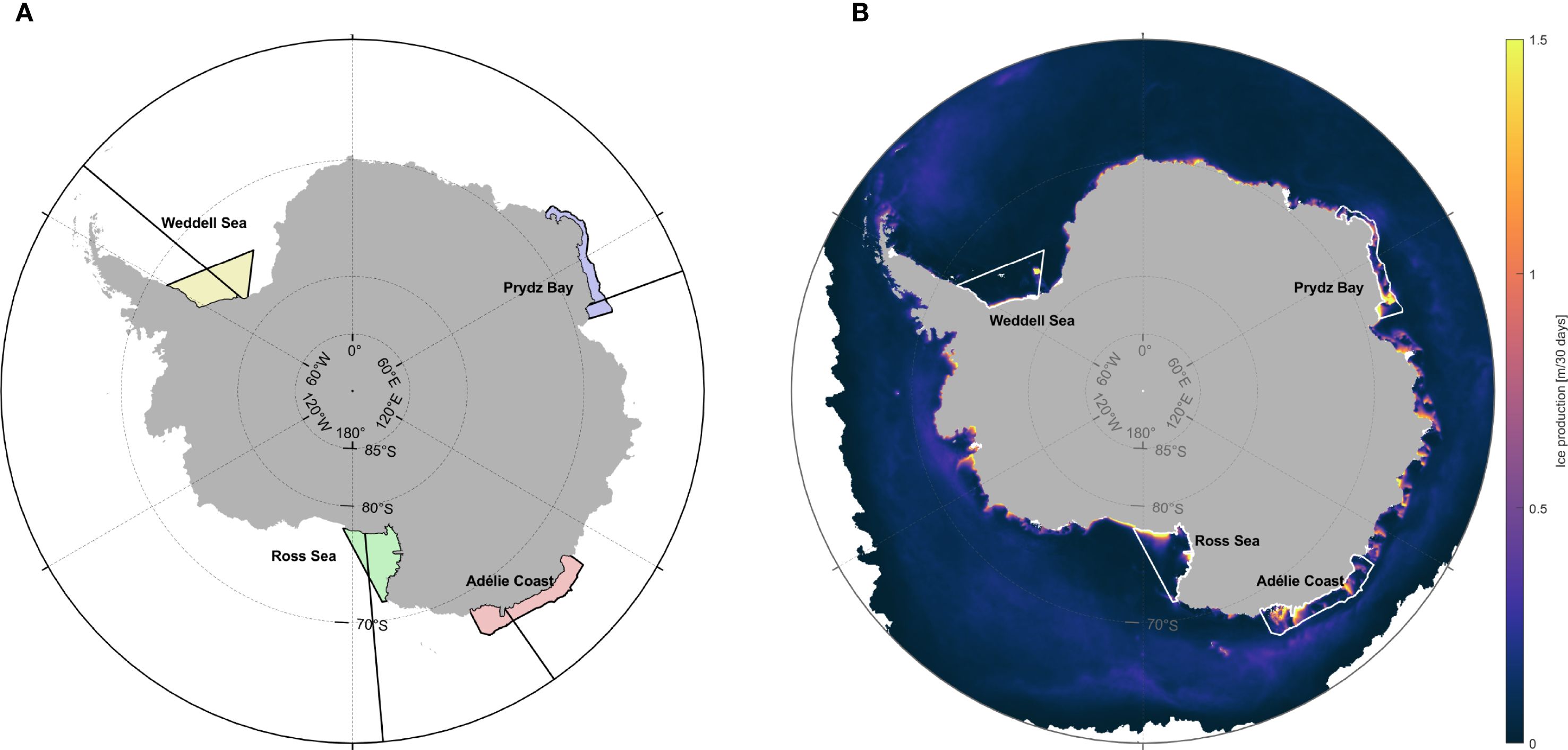 Map of Antarctica divided into two panels. Panel A highlights specific regions: Weddell Sea, Prydz Bay, Ross Sea, and Adélie Coast using different colors. Panel B shows ice production variation in the same regions, with a color gradient from blue to yellow, marked from zero to one point five meters in thirty days on the right scale.