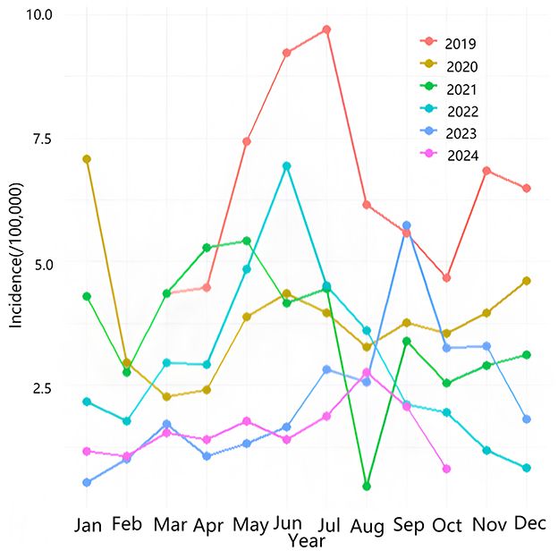 Line graph showing monthly incidence rates per 100,000 from 2019 to 2024. Different colored lines represent each year. Notable peaks are in July 2019 and June 2022. Data shows varying trends over years, with most fluctuations occurring mid-year.
