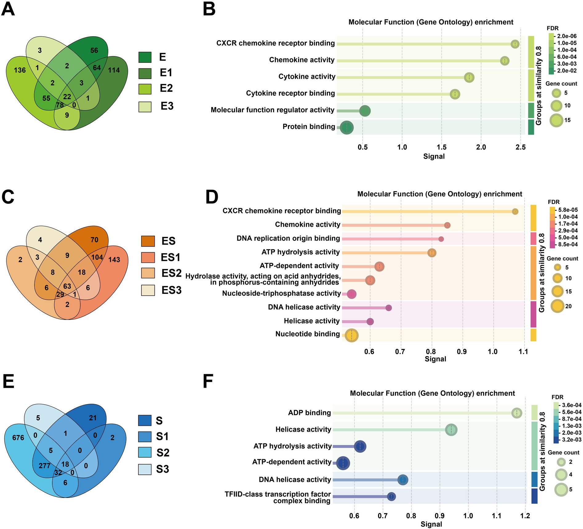 Image contains three panels with Venn diagrams and corresponding bar charts. Panel A shows a green Venn diagram comparing groups E, E1, E2, and E3 with varying overlap. Panel B features a bar chart of molecular functions like chemokine activity, showing gene count and enrichment signals. Panel C displays an orange Venn diagram for groups ES, ES1, ES2, and ES3. Panel D's bar chart highlights functions like DNA helicase activity. Panel E has a blue Venn diagram for groups S, S1, S2, and S3. Panel F's bar chart includes activities like ADP binding and ATP hydrolysis.