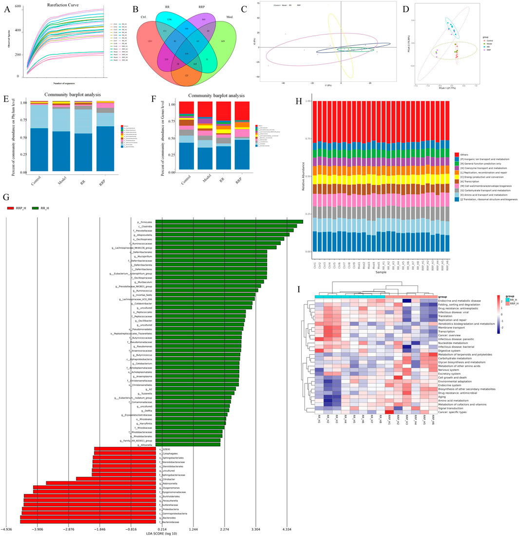 Illustration includes several graphs and charts analyzing community and biodiversity data. A: Rarefaction curve shows species accumulation. B: Venn diagram depicts shared and unique species among groups. C: PCoA plot visualizes community structure differences. D: NMDS plot shows similarity in communities. E, F: Bar plots depict community composition by phylum and genus, respectively. G: LEfSe analysis shows differential abundance of species. H: Bar chart represents relative abundance of metabolic pathways. I: Heatmap displays functional profiling of microbial communities. Each chart presents analytics related to ecological and microbiome studies.