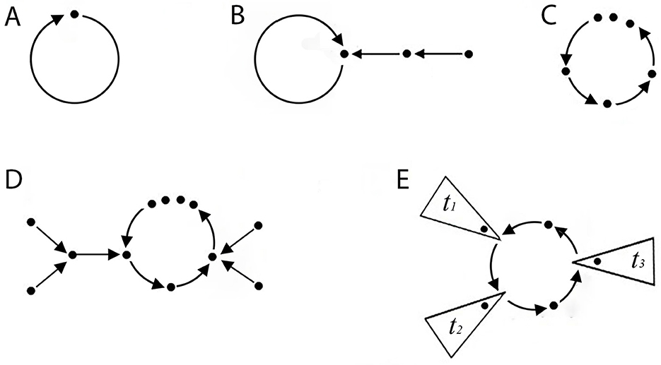 Diagram with labels A to E, depicting variations of circular and linear directional arrows and dots. A: single circle with one arrow. B: circle with an extending line and arrows. C: circle with multiple dots and arrows. D: interconnected lines with arrows and dots forming a loop. E: circle with arrows and three triangles labeled t1, t2, t3, pointing towards the circle.