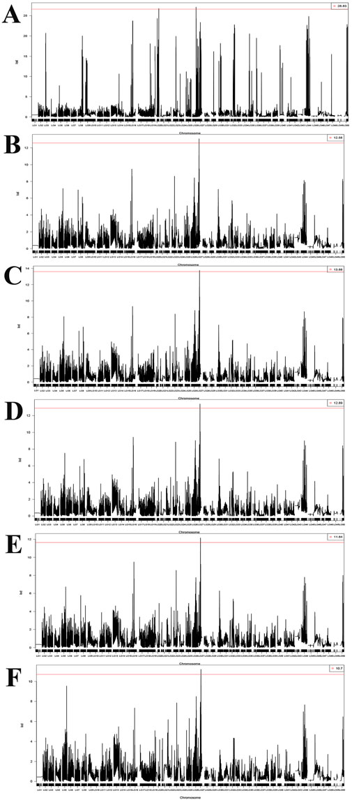 Graphs labeled A to F show LOD (logarithm of the odds) scores across various chromosomes. Each graph displays peaks at different loci, indicating potential genetic linkages. Panel A shows the highest peaks, followed by gradually lower peaks in subsequent panels.