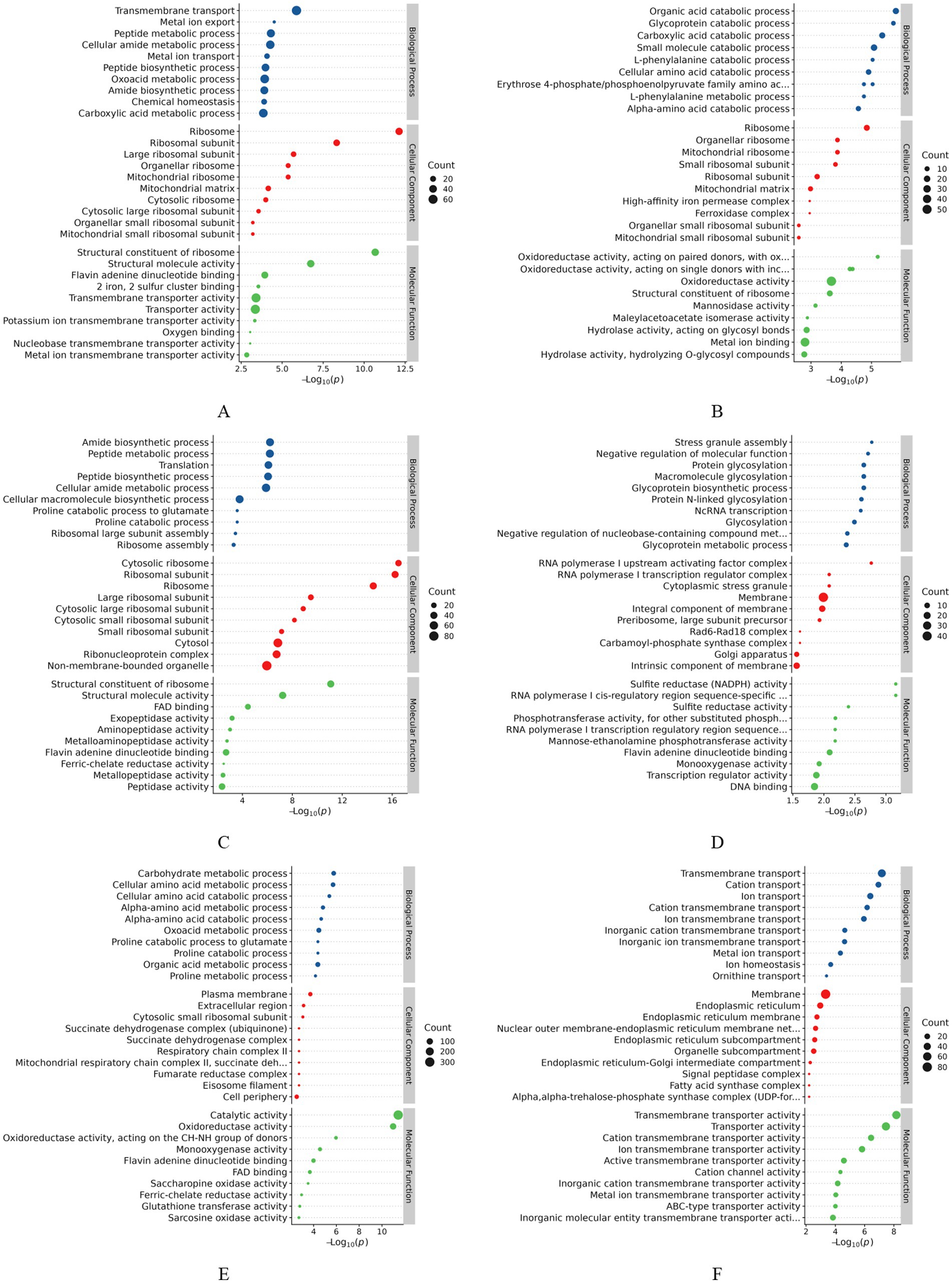 Six scatter plots labeled A to F display various biological processes, molecular functions, and components on the y-axis, with negative logarithm of the p-value \((-log_{10}(p))\) on the x-axis. Each plot uses colored dots to represent different counts, indicated in the legend, depicting the significance and frequency of each process.