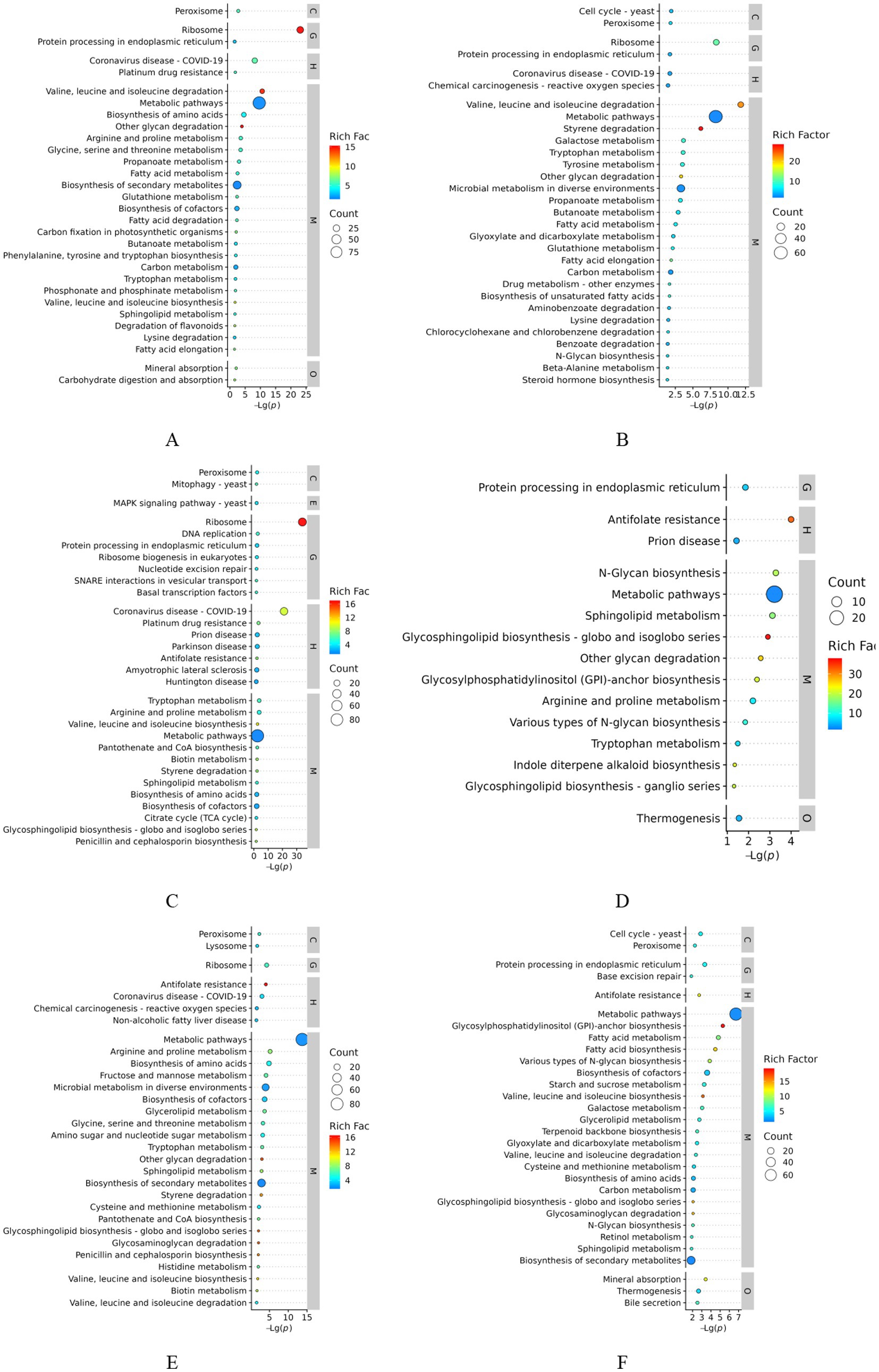 Six scatter plots labeled A to F display enriched pathways, each showing