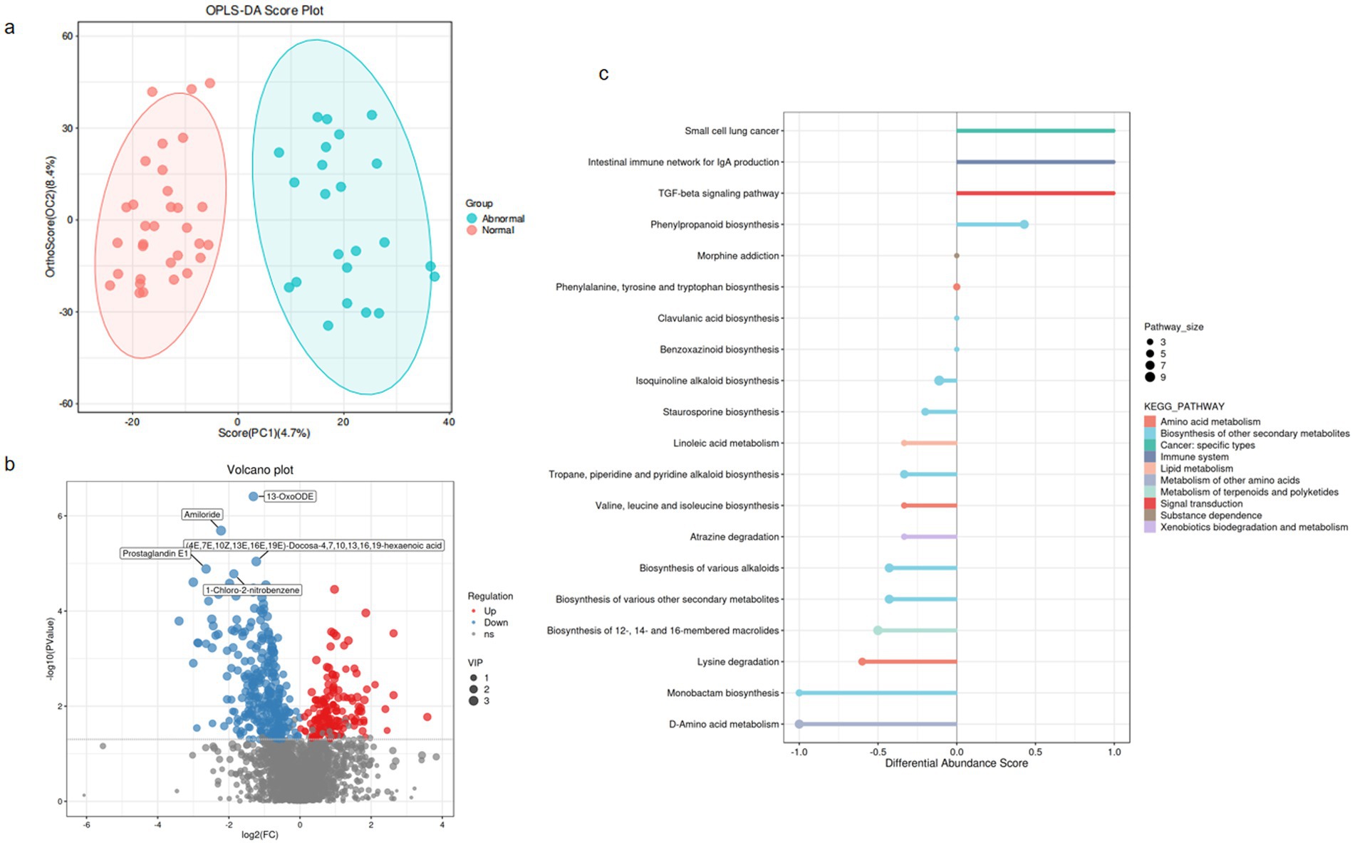 Three-panel image showing (A) an OPLS-DA score plot with red dots for the abnormal group and blue dots for the normal group, (B) a volcano plot with labeled metabolites highlighting significant up- and down-regulated compounds, and (C) a bar chart illustrating differential abundance scores for various pathways. Pathways are color-coded by category, with dot sizes indicating pathway sizes.