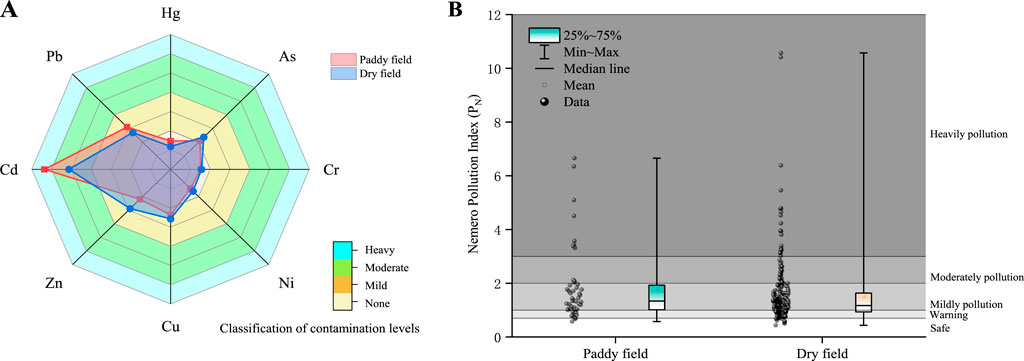 Radar and box plot images show contamination by heavy metals in soil samples from paddy and dry fields. Radar chart (A) presents contamination levels of eight metals, comparing fields. Box plot (B) shows Nemero Pollution Index, highlighting pollution severity, with paddy fields showing variable contamination compared to dry fields.