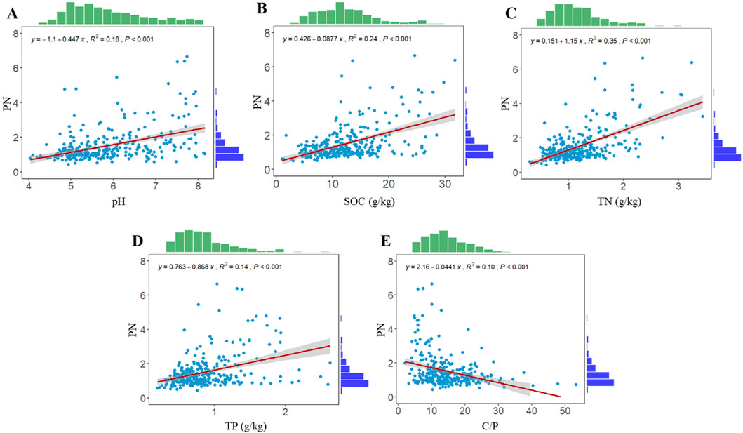 Scatter plots illustrating relationships between PN and various soil properties, each with a linear regression line and histograms showing data distribution. Plot A: PN vs. pH, R² = 0.18. Plot B: PN vs. SOC, R² = 0.24. Plot C: PN vs. TN, R² = 0.35. Plot D: PN vs. TP, R² = 0.14. Plot E: PN vs. C/P, R² = 0.10. All are statistically significant with P < 0.001.