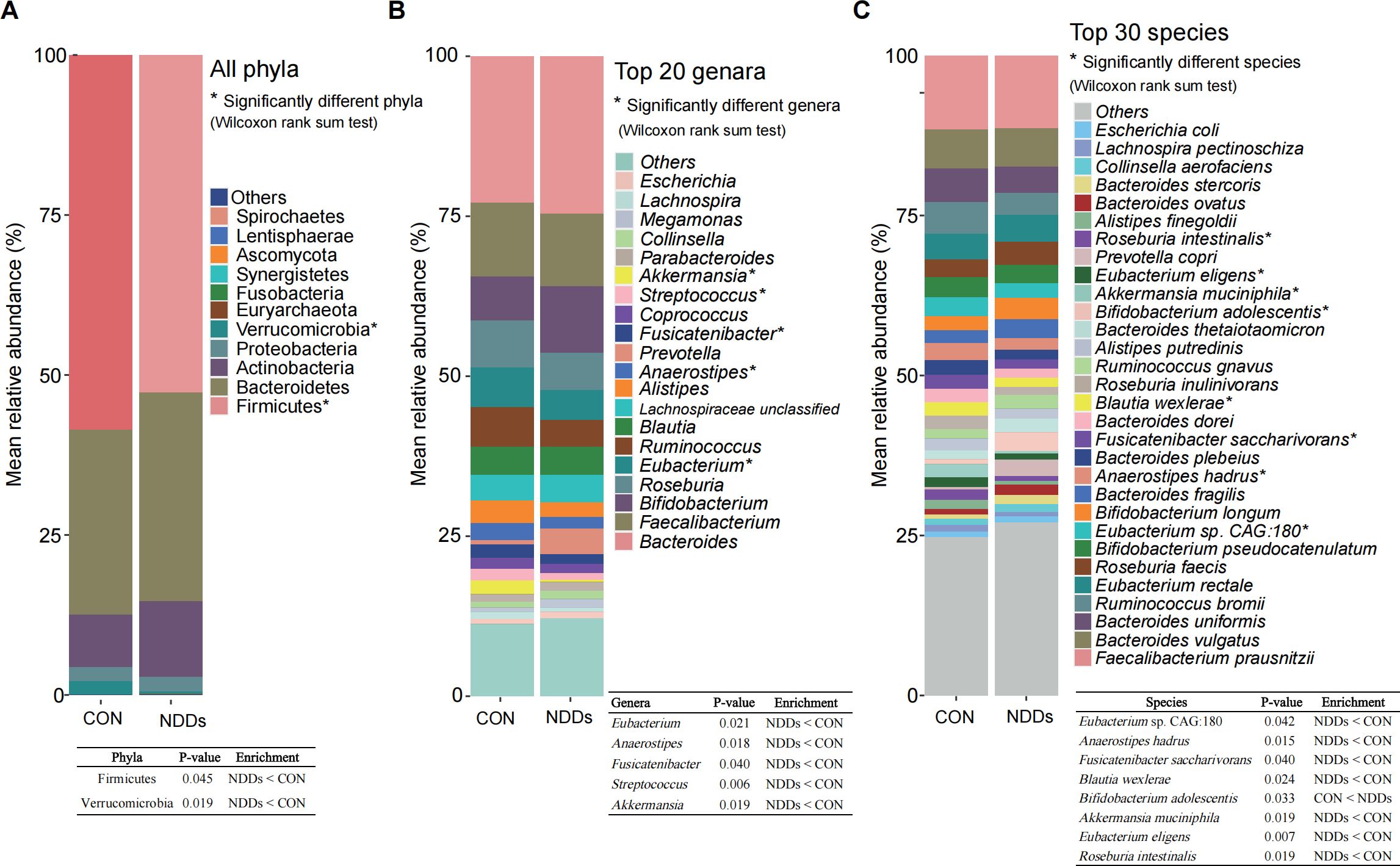 Bar charts showing the mean relative abundance of bacteria at three levels: phyla (A), genera (B), and species (C) in control (CON) and neurological disorder (NDDs) groups. Charts indicate significantly different groups with asterisk. Tables below each chart detail the p-values and enrichment comparisons between CON and NDDs, highlighting notable bacterial changes.