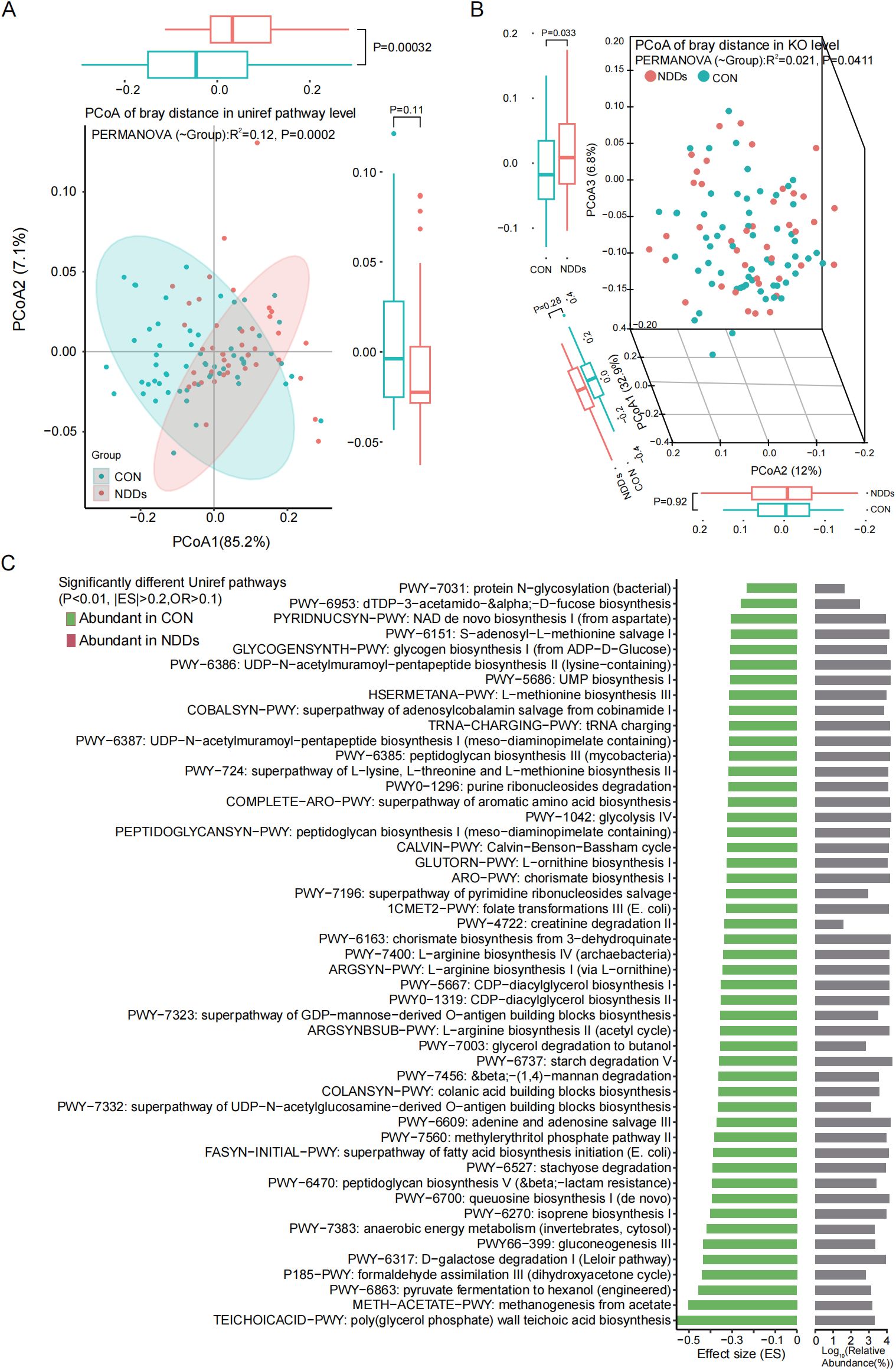 Chart presenting principal coordinate analyses (PCoA) of bray distance in bacterial pathways and KO level, with significant differences between CON (control) and NDDs (neurological developmental disorders) groups. Panel A shows PCoA at Uniref pathway level, Panel B at KO level. Statistical annotations are included. Panel C displays significantly different Uniref pathways with abundance indications: green for CON, red for NDDs, alongside effect sizes and relative abundances.
