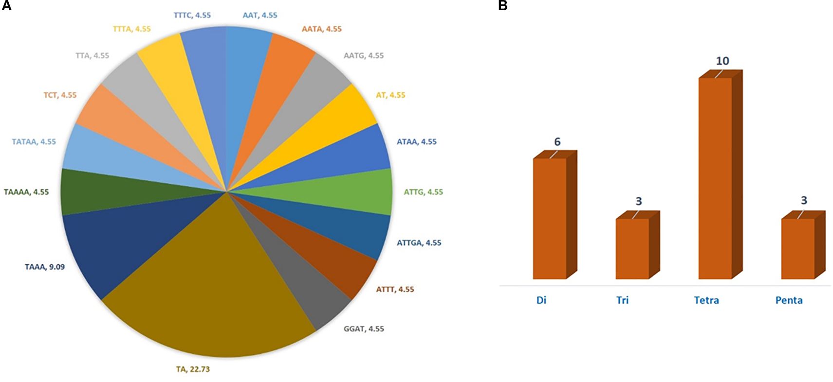 Pie chart labeled A shows segments with data values for various nucleotide sequences, the largest being “TA” at 22.73 percent. Bar chart labeled B features four categories: Di, Tri, Tetra, and Penta, with Tetra having the highest value at ten.