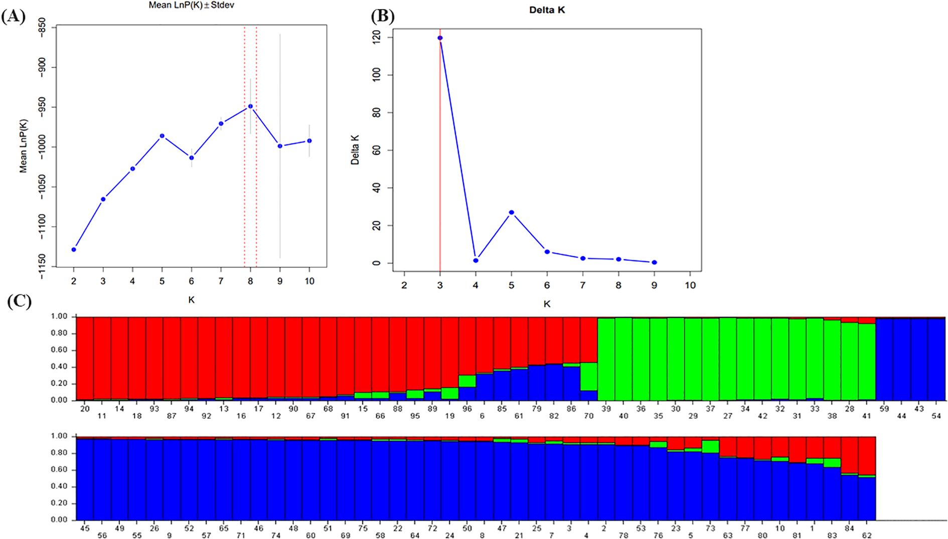 Graphical representation of population structure analysis using STRUCTURE software. (A) Line graph showing mean logarithm of probability LnP(K) with error bars for different K values from two to ten. (B) Line graph illustrating Delta K values against K, with a peak at K equals three. (C) Two bar plots indicating population assignment with colors red, green, and blue, showing different genetic population structures for K equals three and K equals two.